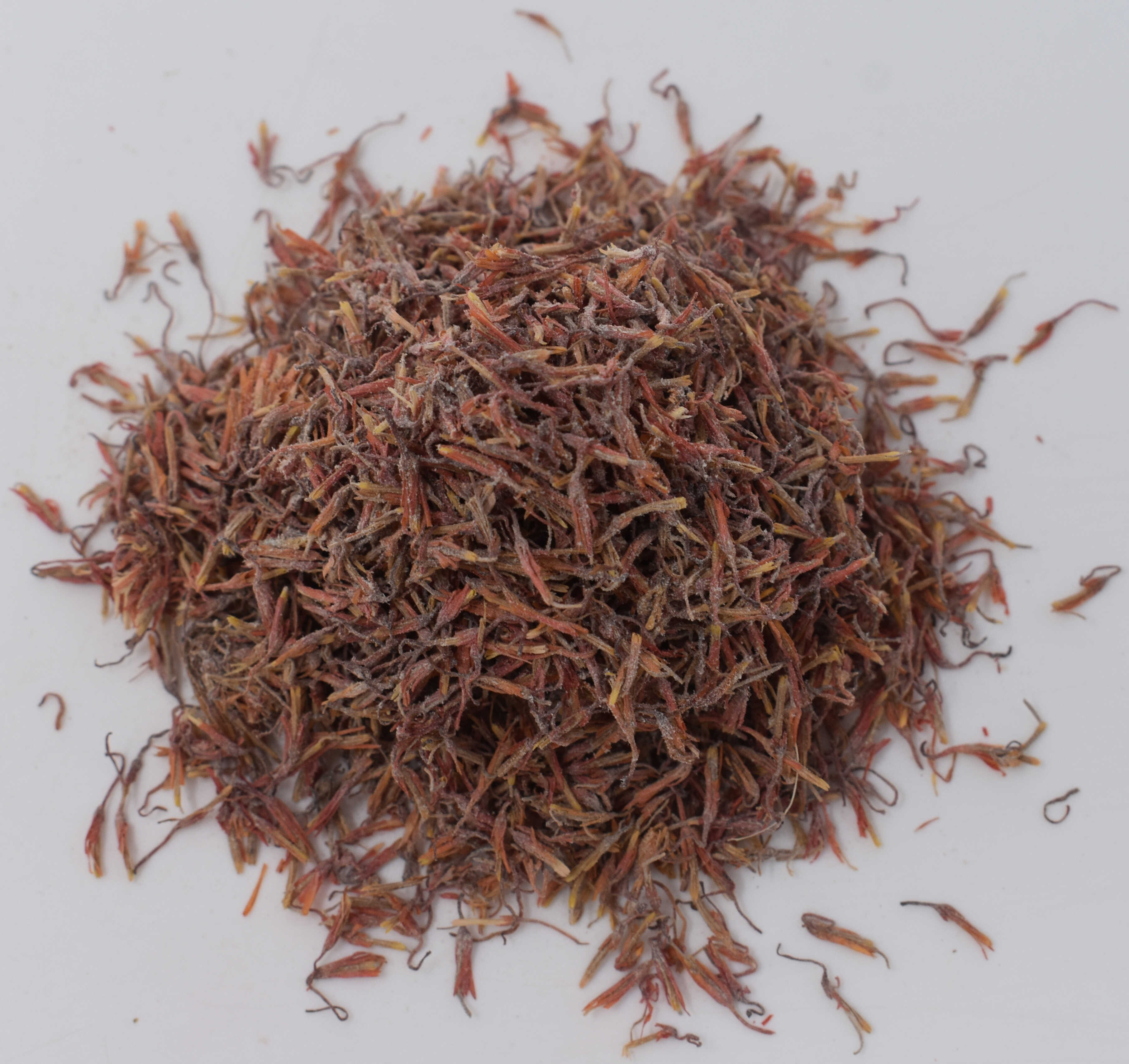 American Saffron and Slippery Elm - Top Photo
