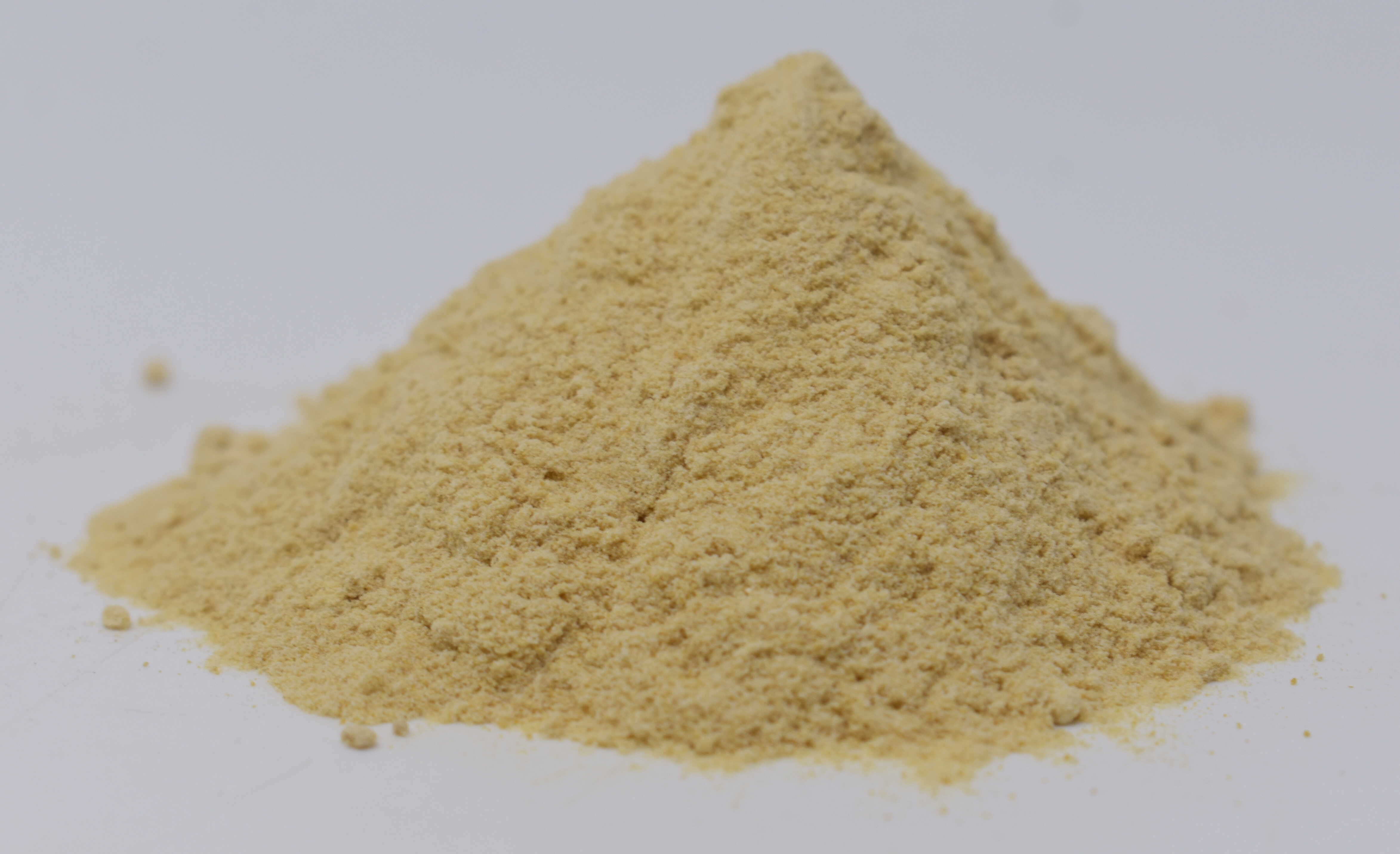 Ginger Root 5% Gingerol Extract - Side Photo