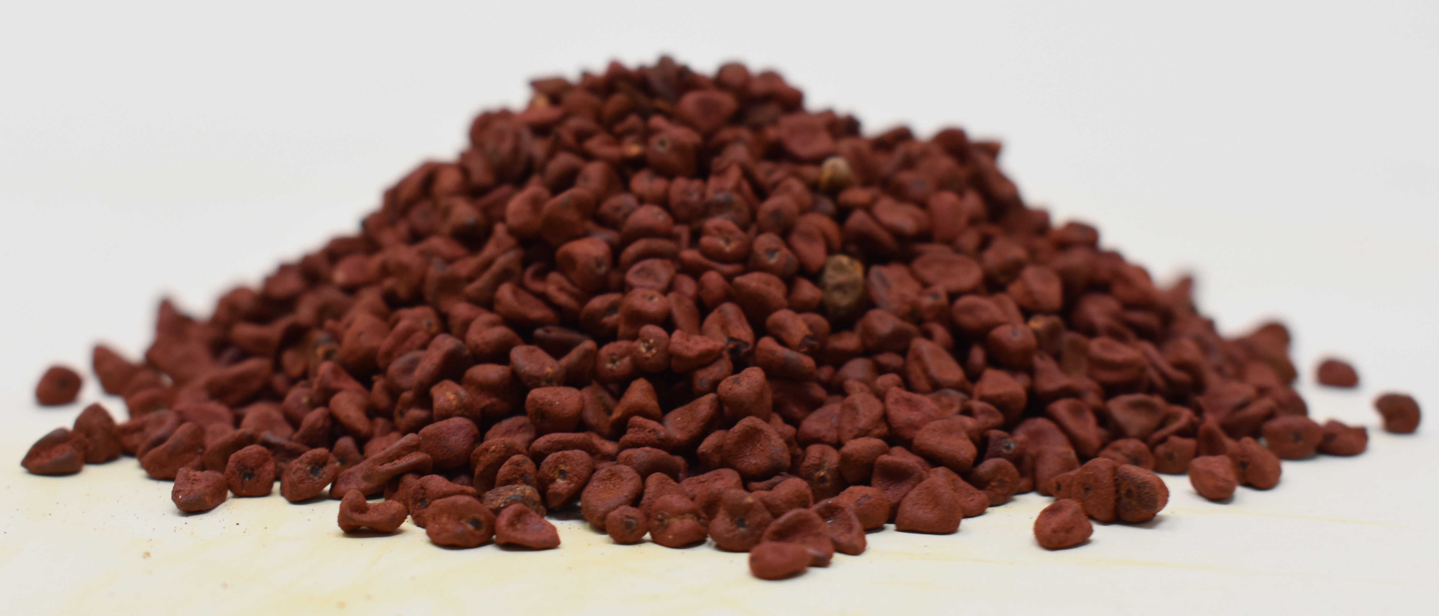 Annatto Seed - Side Photo