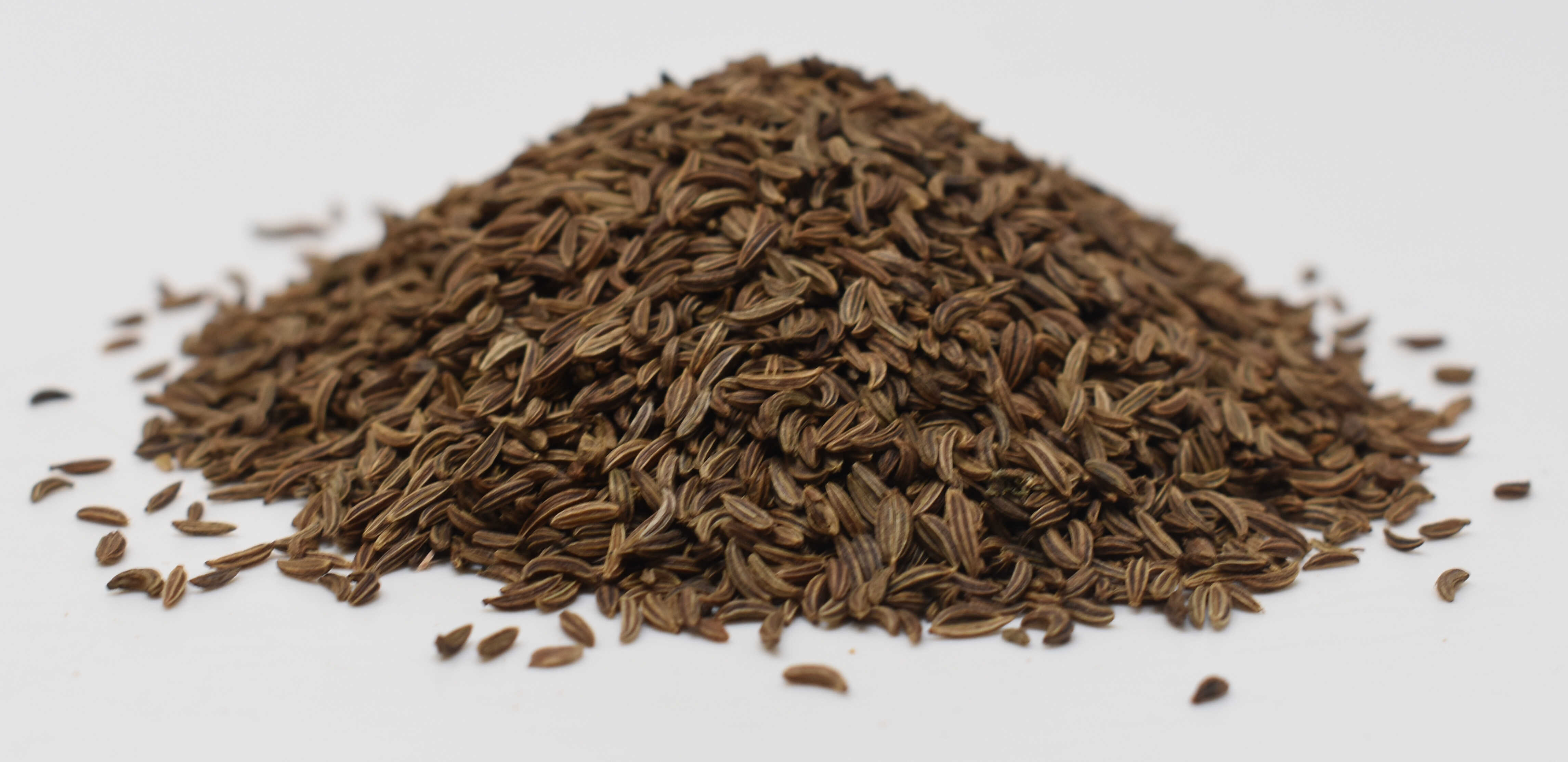 Caraway Seed - Side Photo