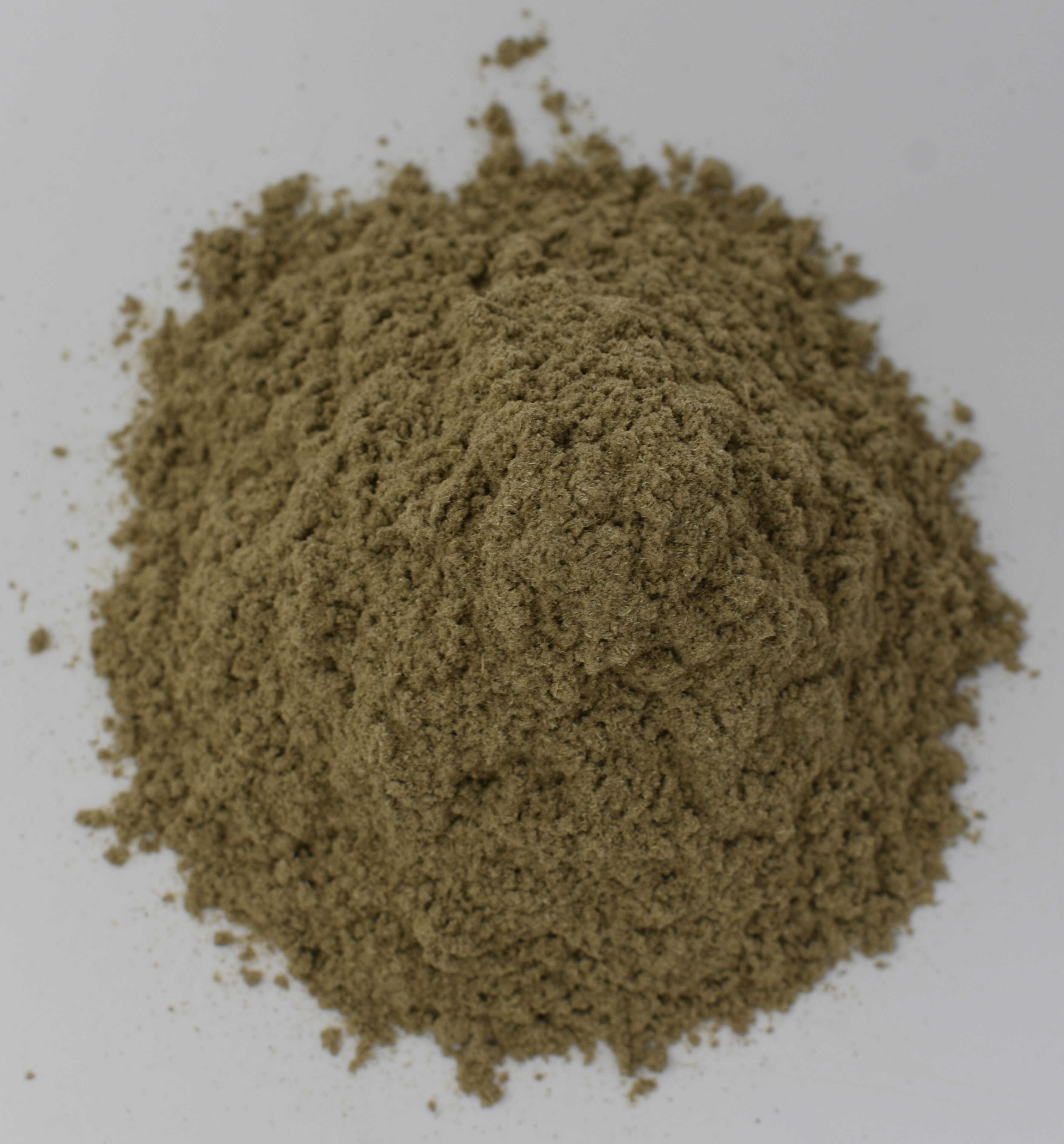 Mugwort Herb (Artemisia vulgaris) - Top Photo