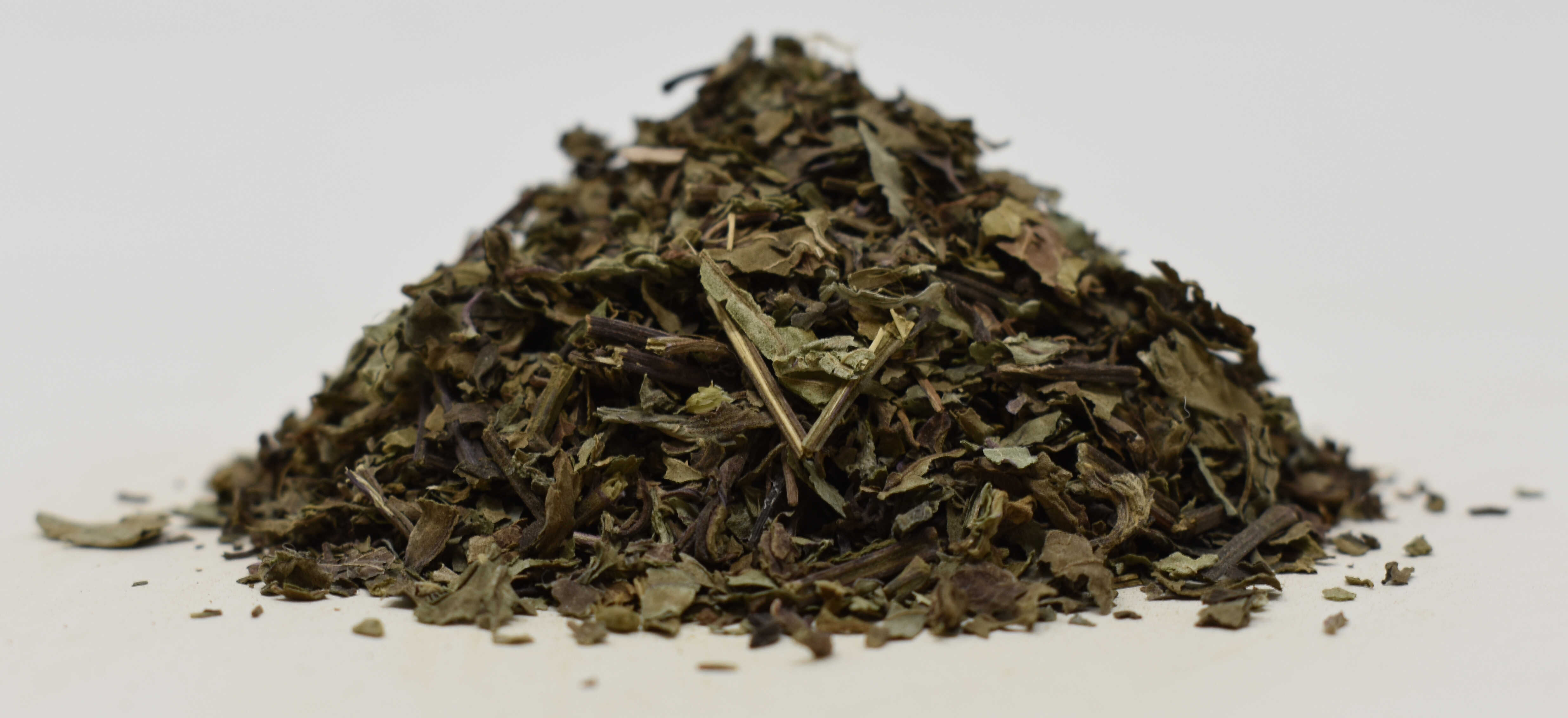 Java Tea <BR>(Orthosiphon) - Side Photo