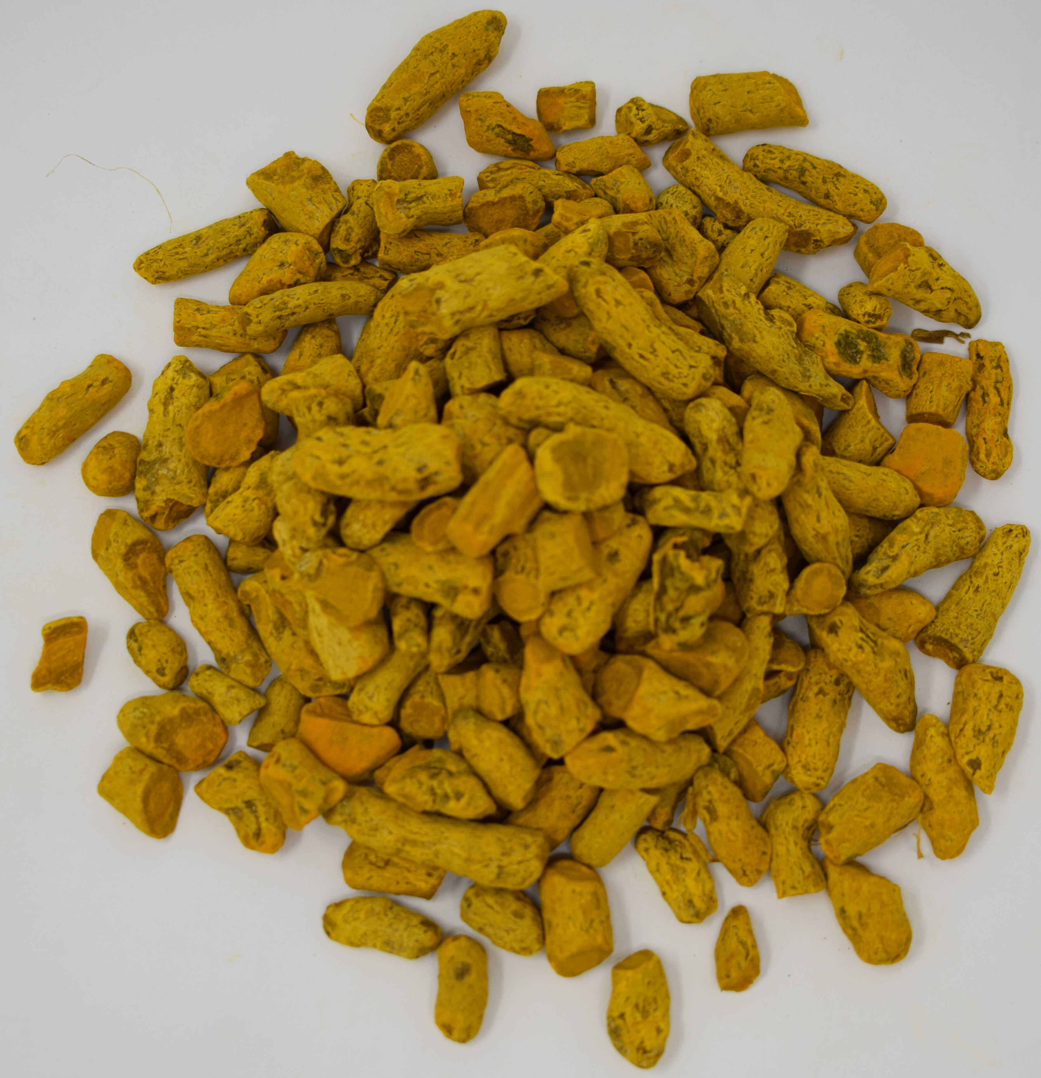 Turmeric Root <BR>(Curcuma) - Top Photo