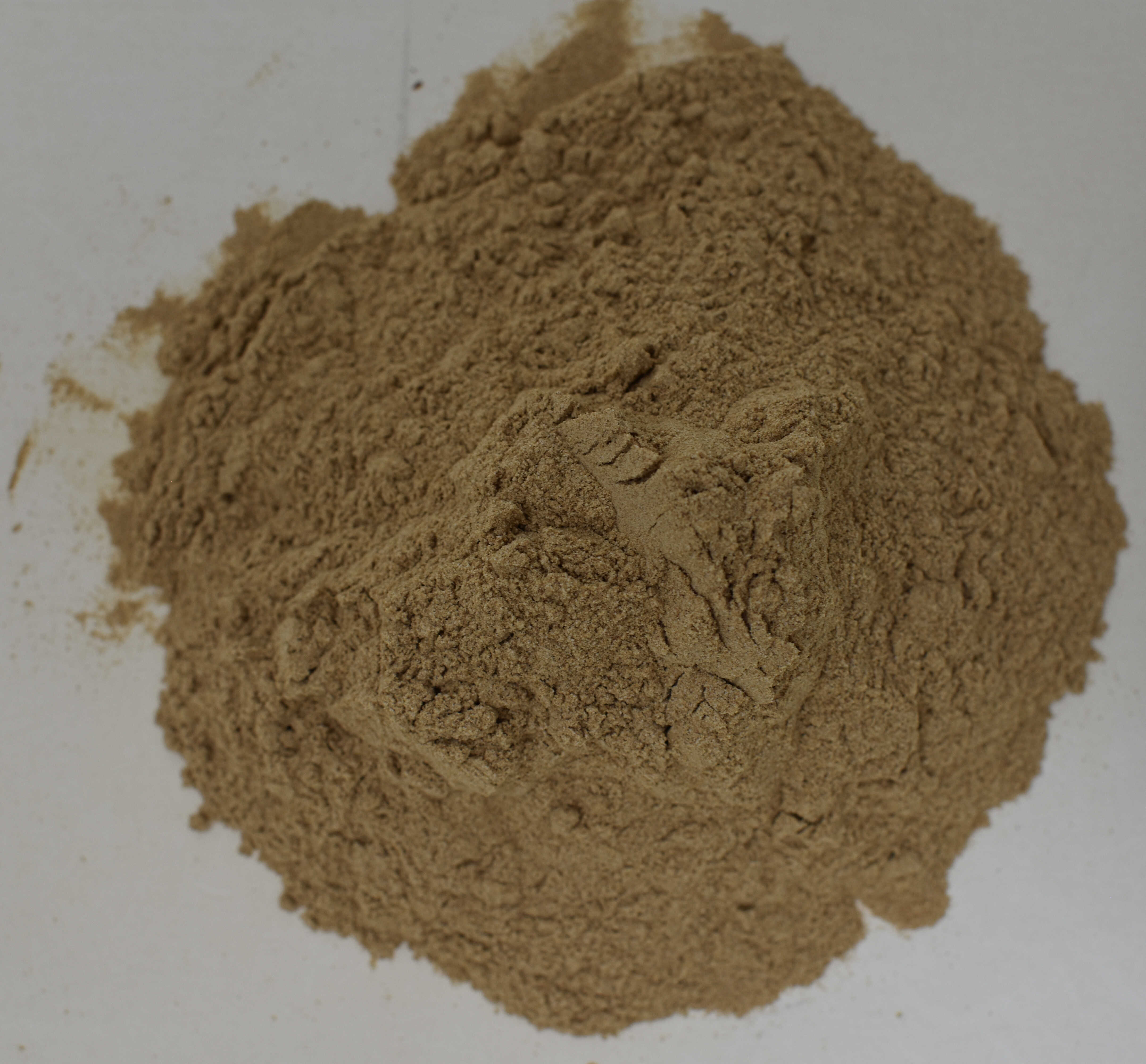 American Ginseng 4:1 Extract - Top Photo