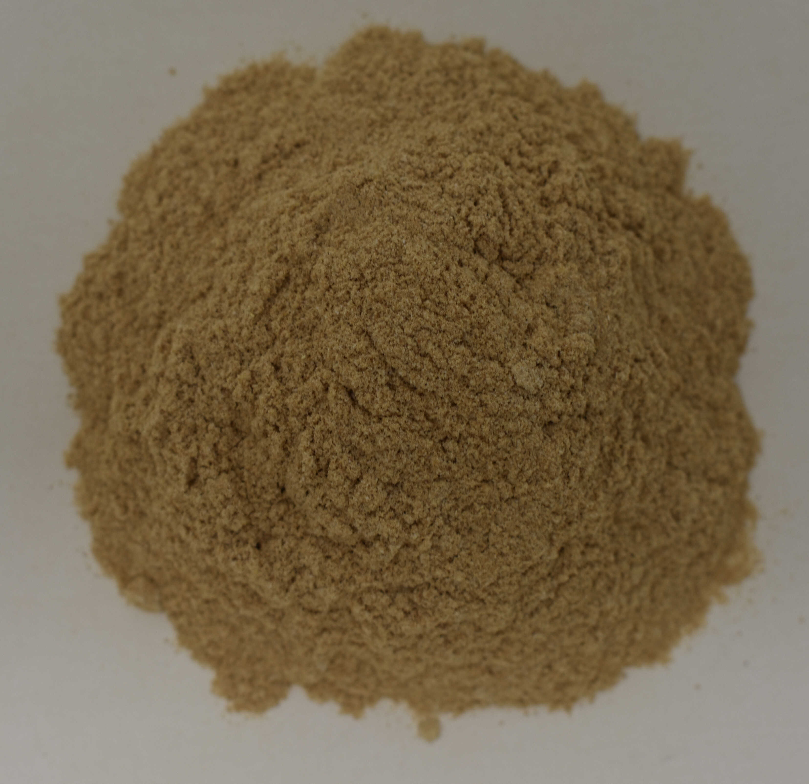 Panax Ginseng 4:1 Extract - Top Photo