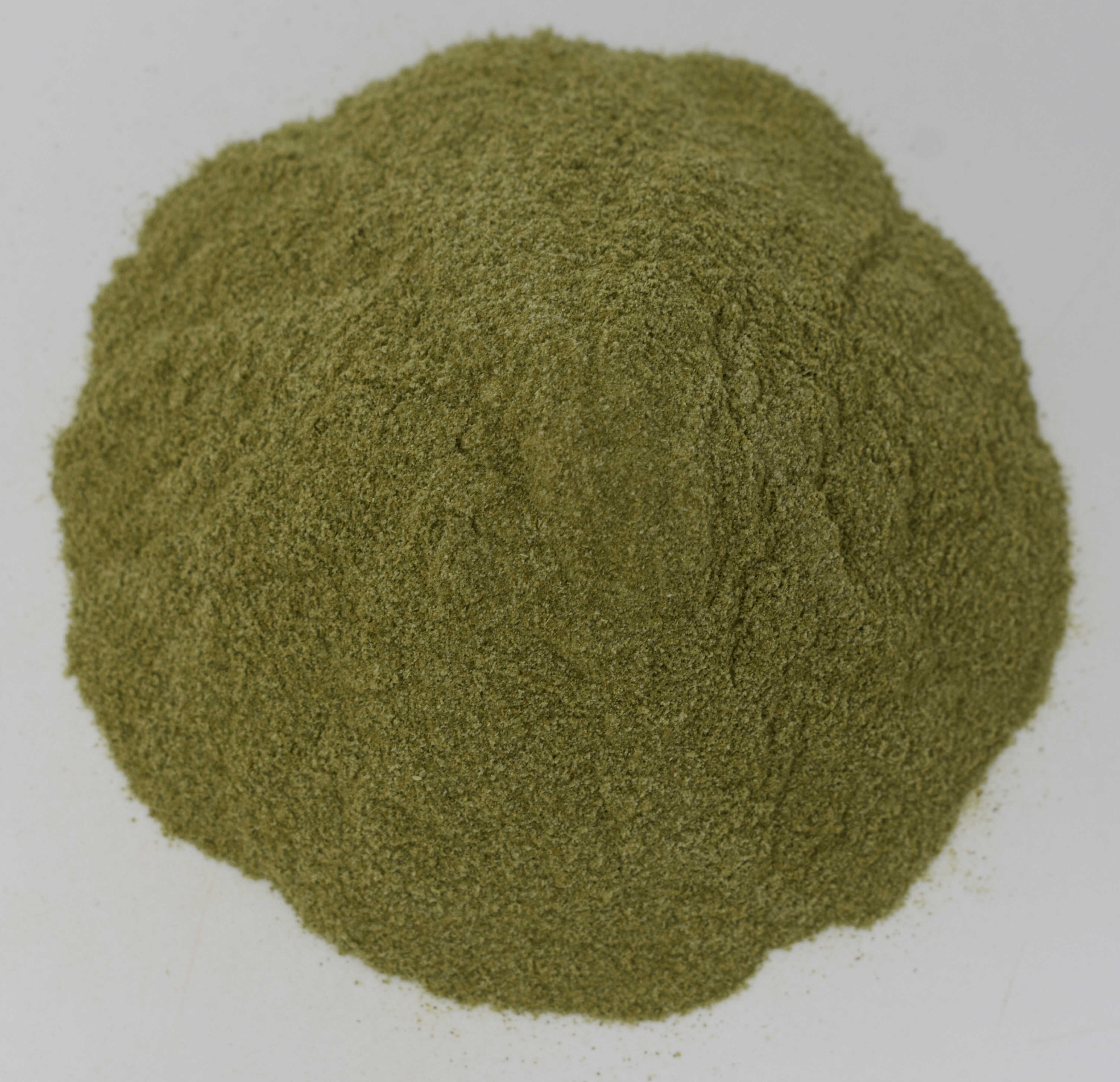 Parsley Juice - Top Photo