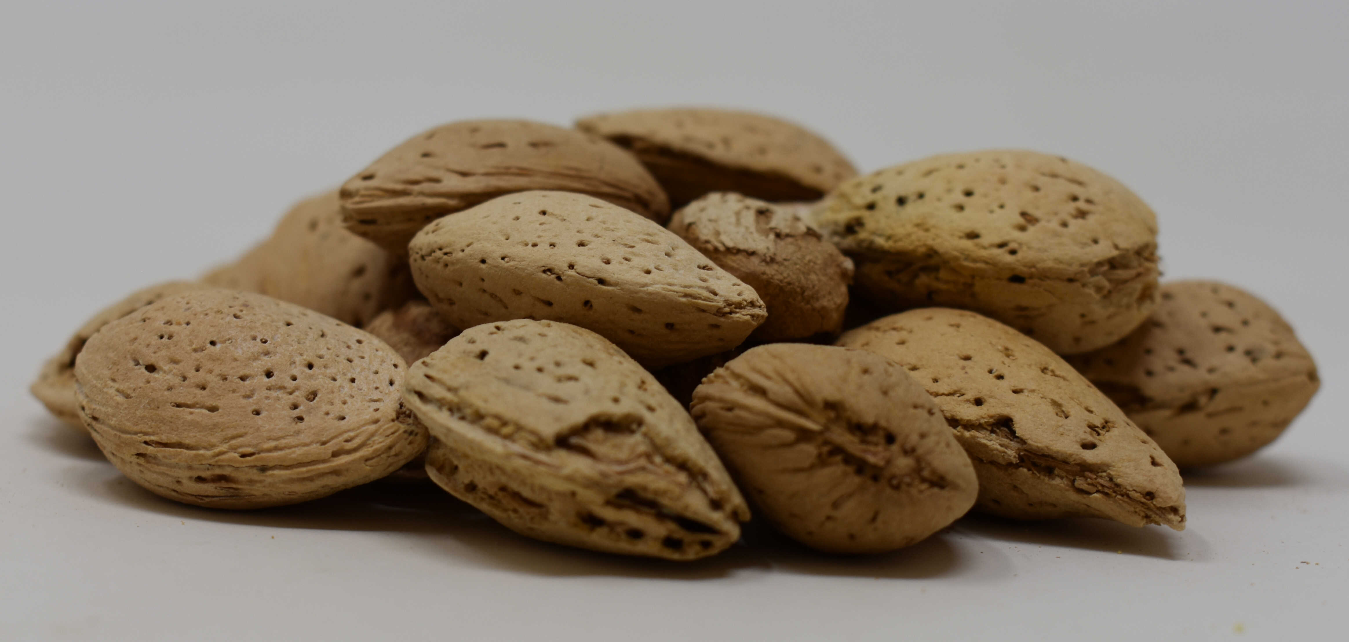 Almonds <BR>(In Shell) - Side Photo