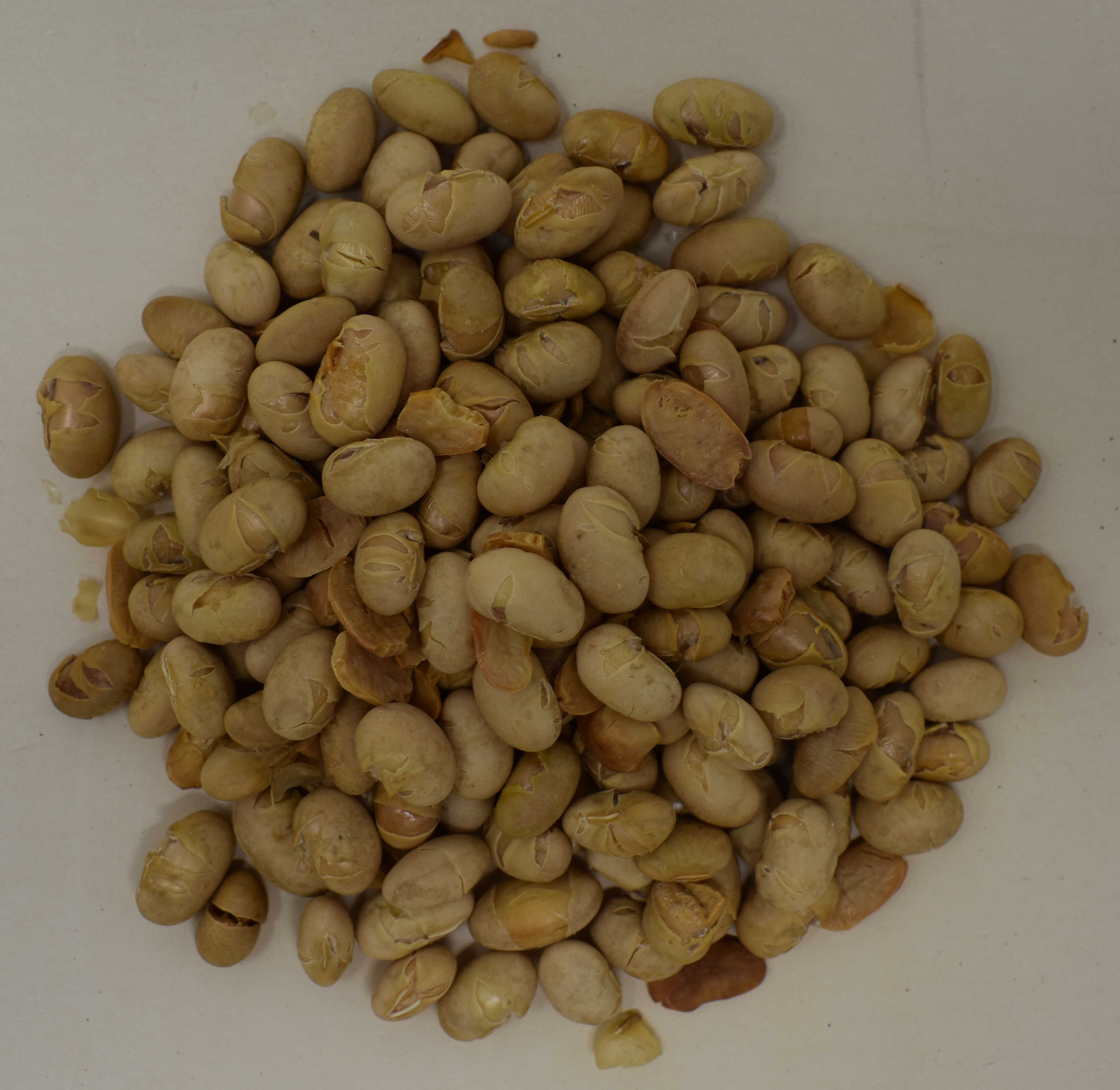 Soy Nuts, No Salt, Roasted - Top Photo