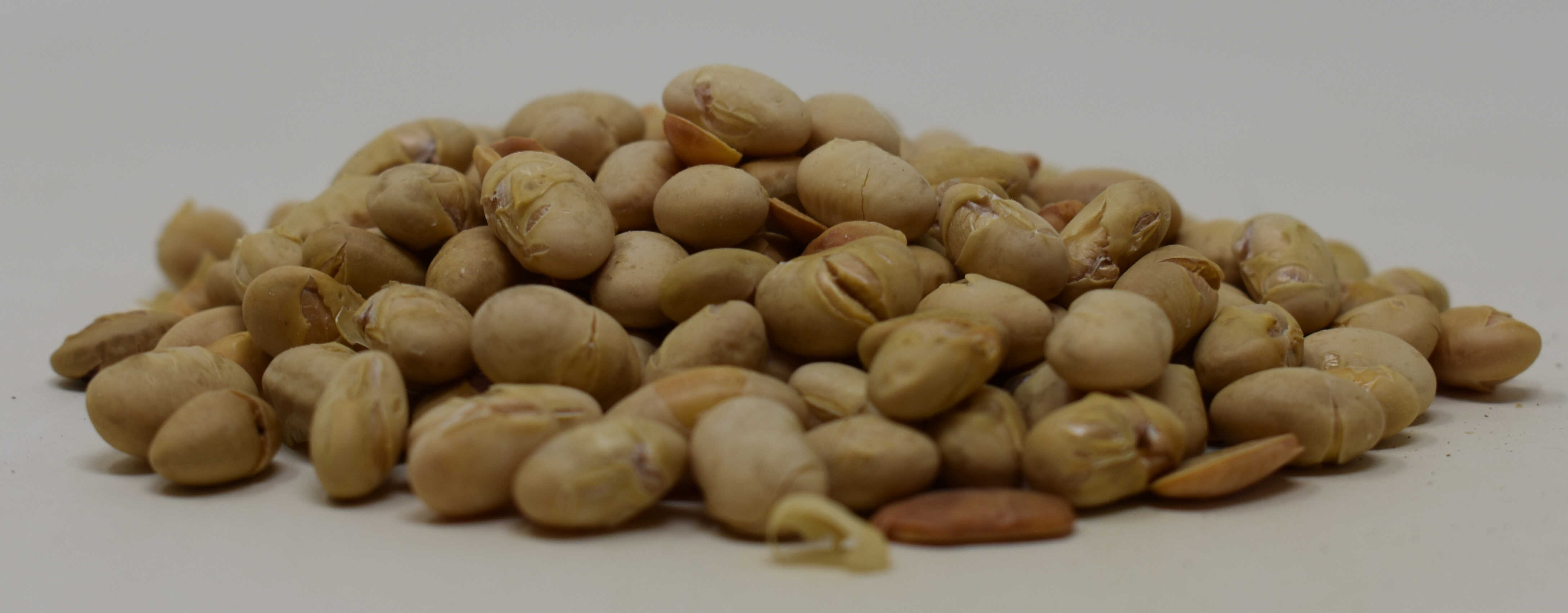 Soy Nuts, No Salt, Roasted - Side Photo