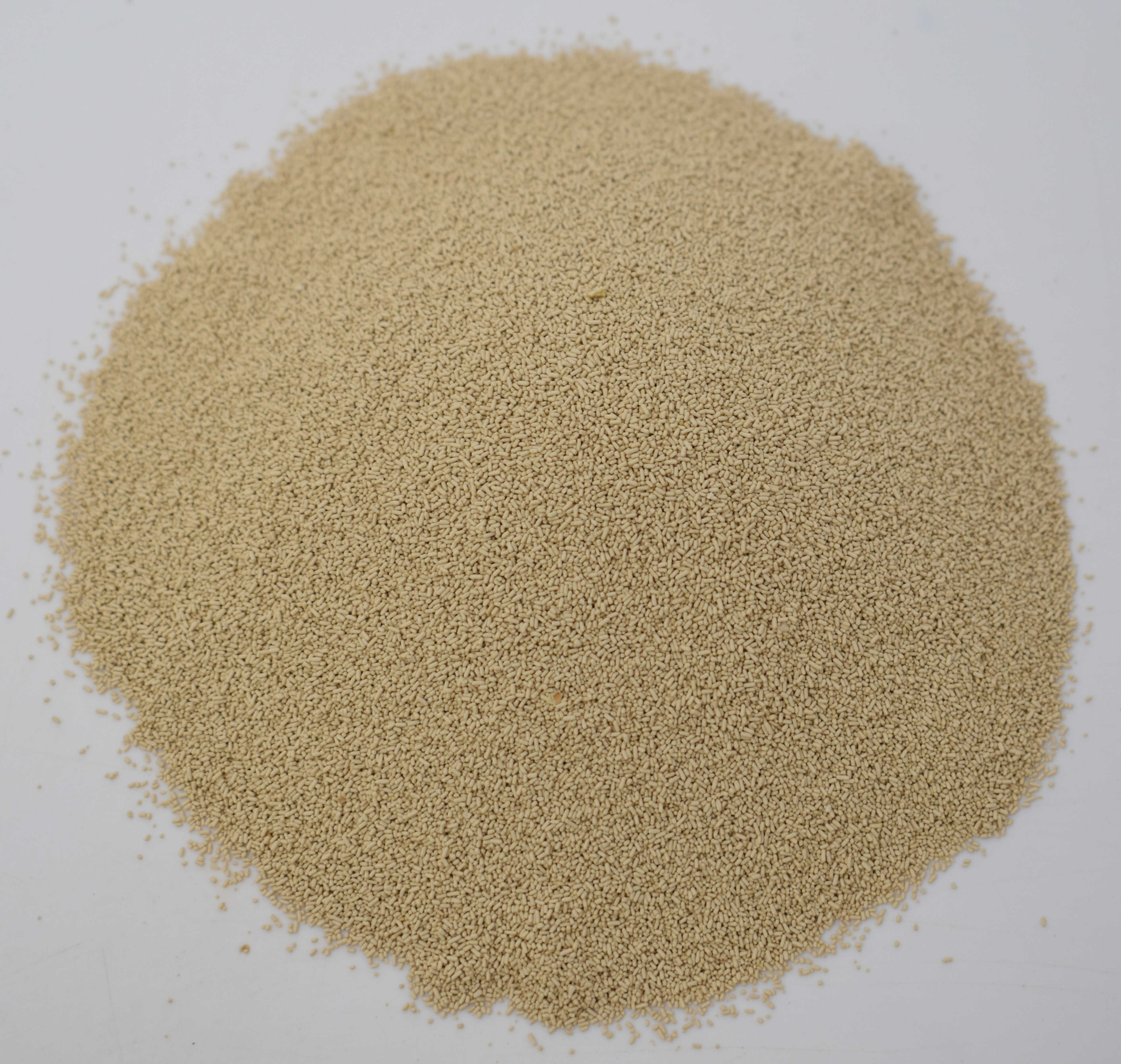 Yeast, Active Dry - Top Photo