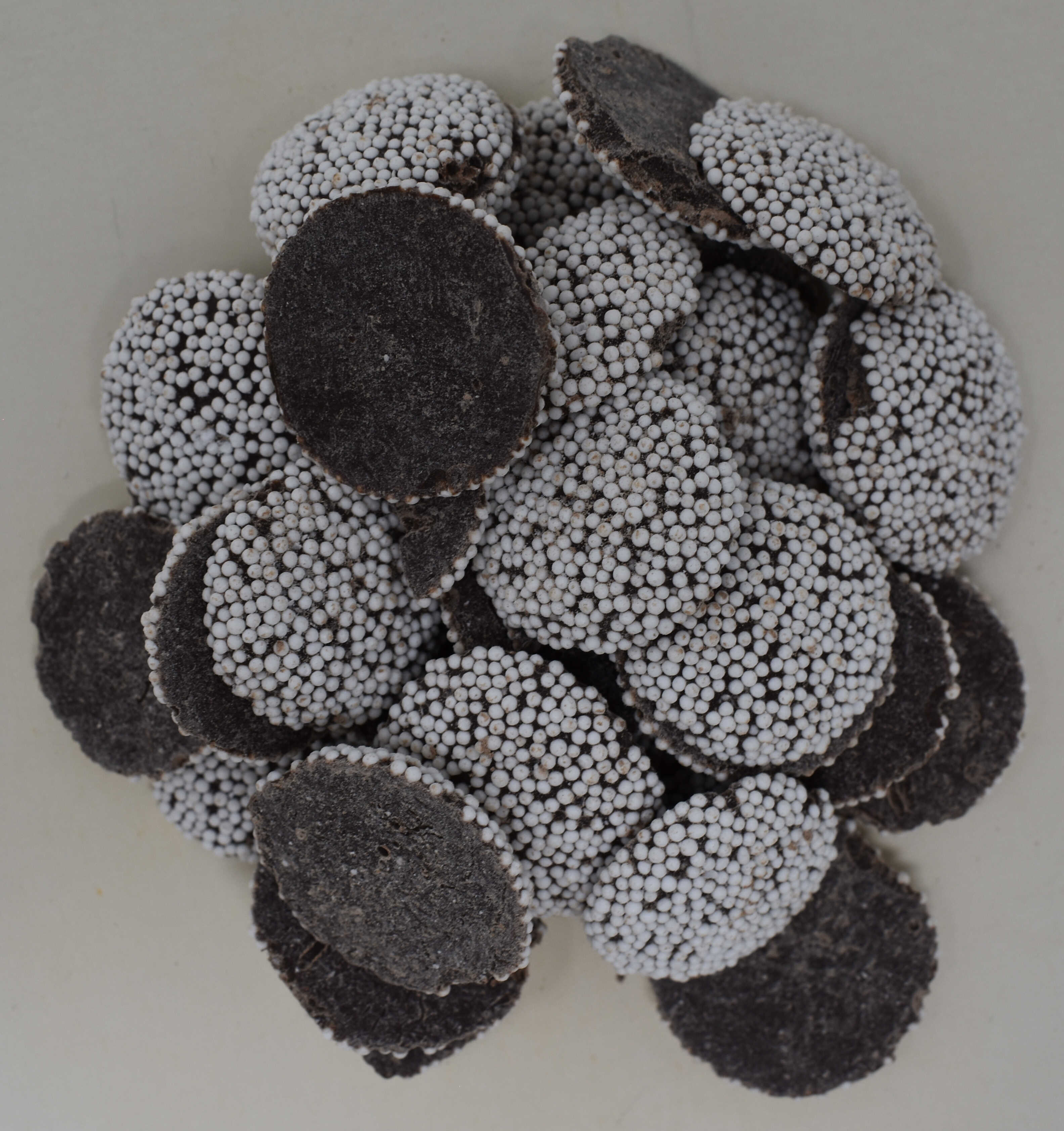 Chocolate Drops with White Nonpareils - Top Photo