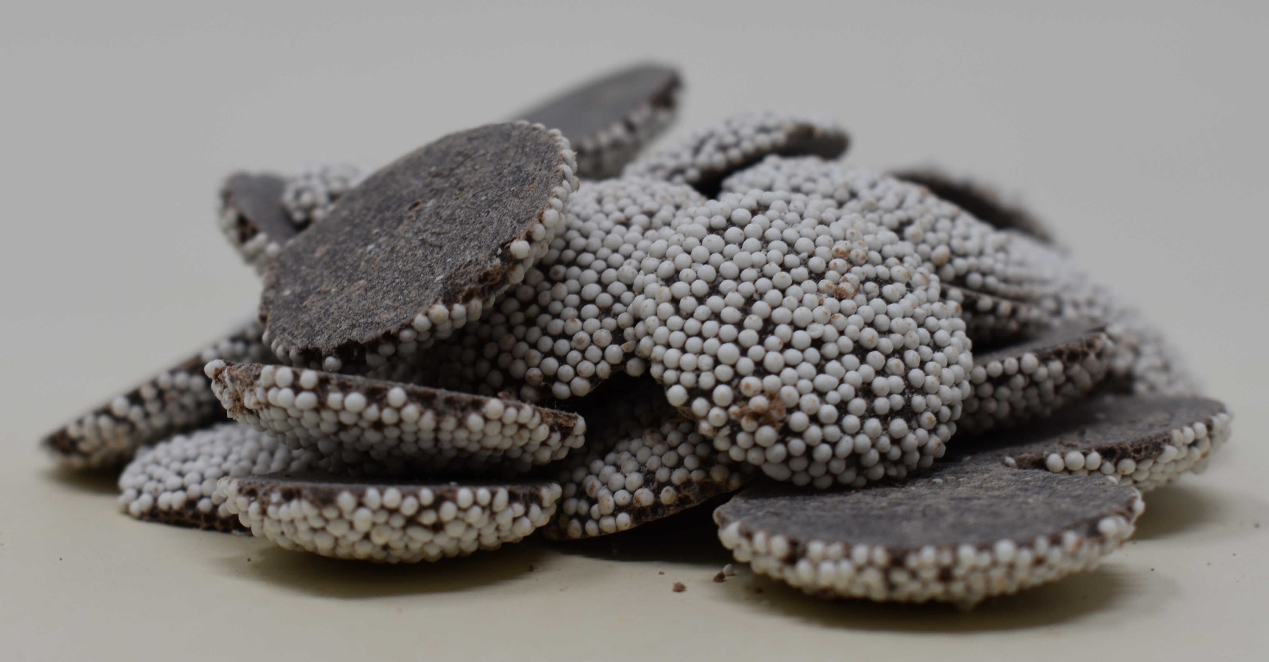 Chocolate Drops with White Nonpareils - Side Photo