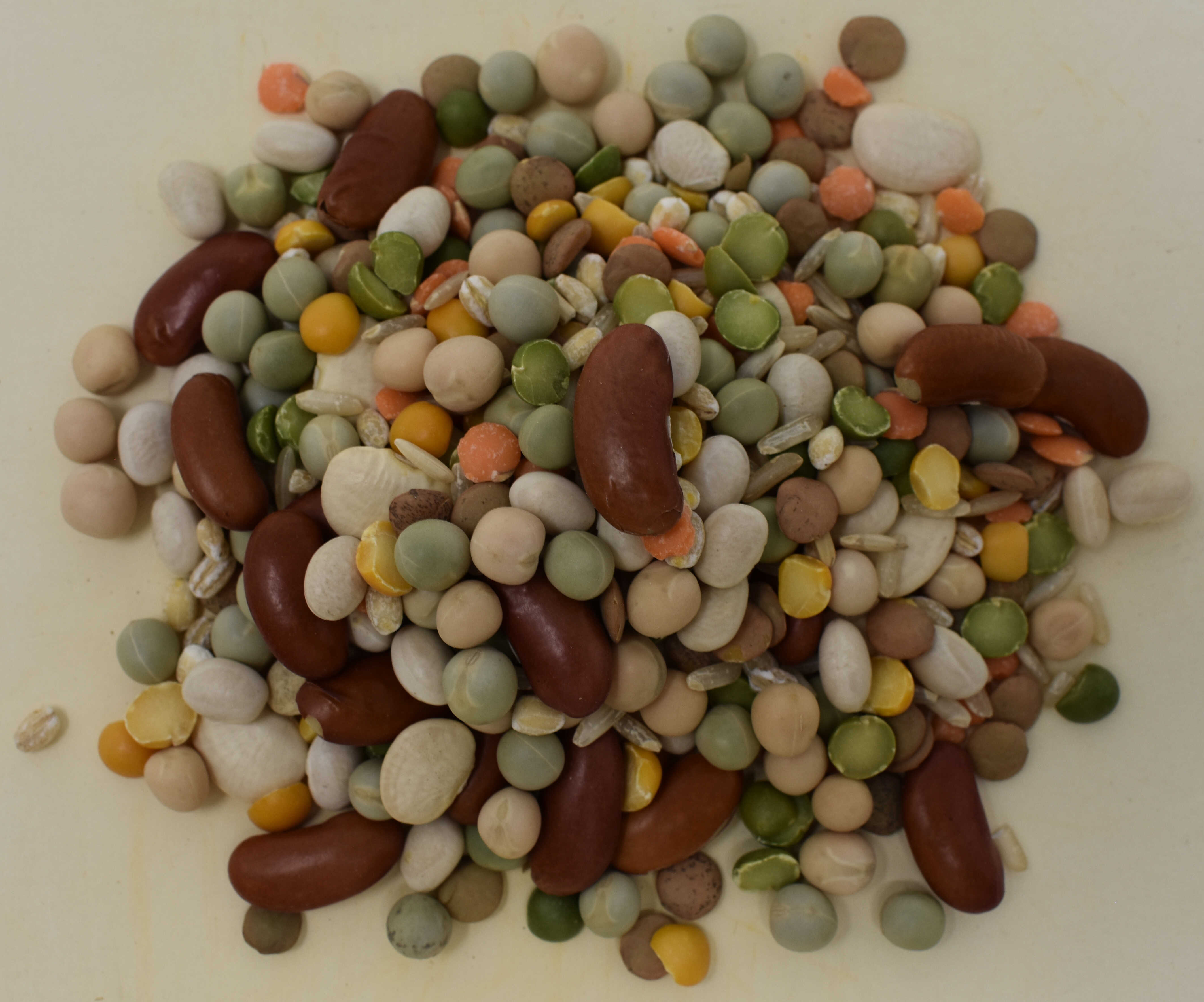 Bean Soup Mix <BR>(11 Beans and Grains) - Top Photo