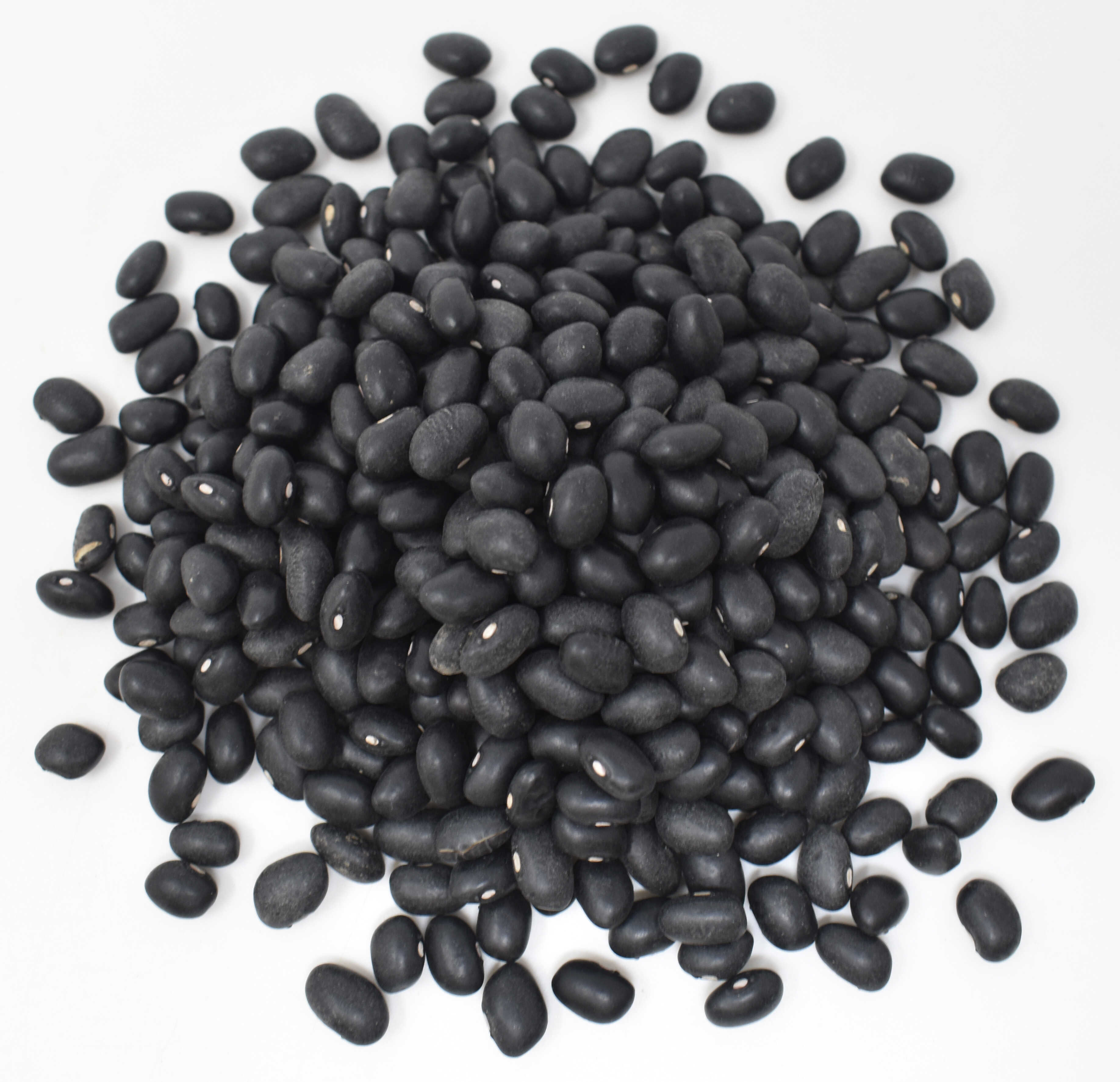 Black Turtle Beans - Top Photo