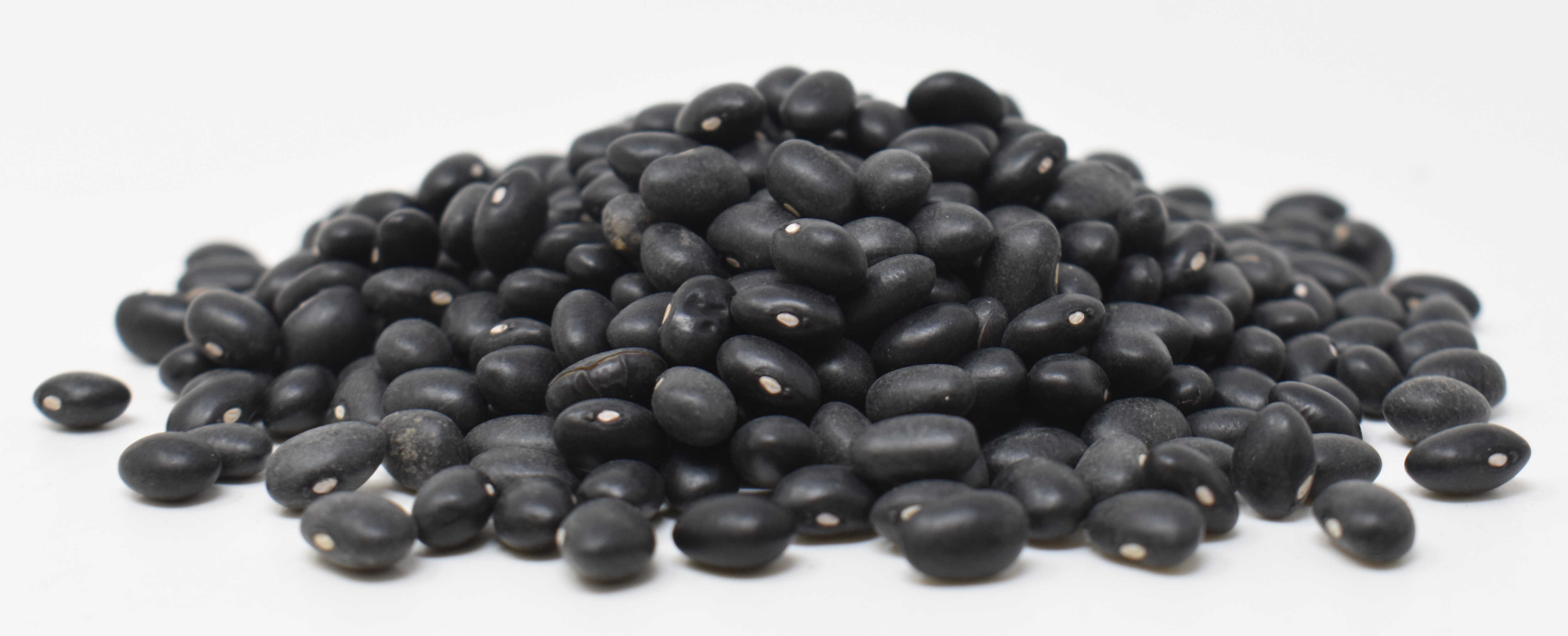 Black Turtle Beans - Side Photo