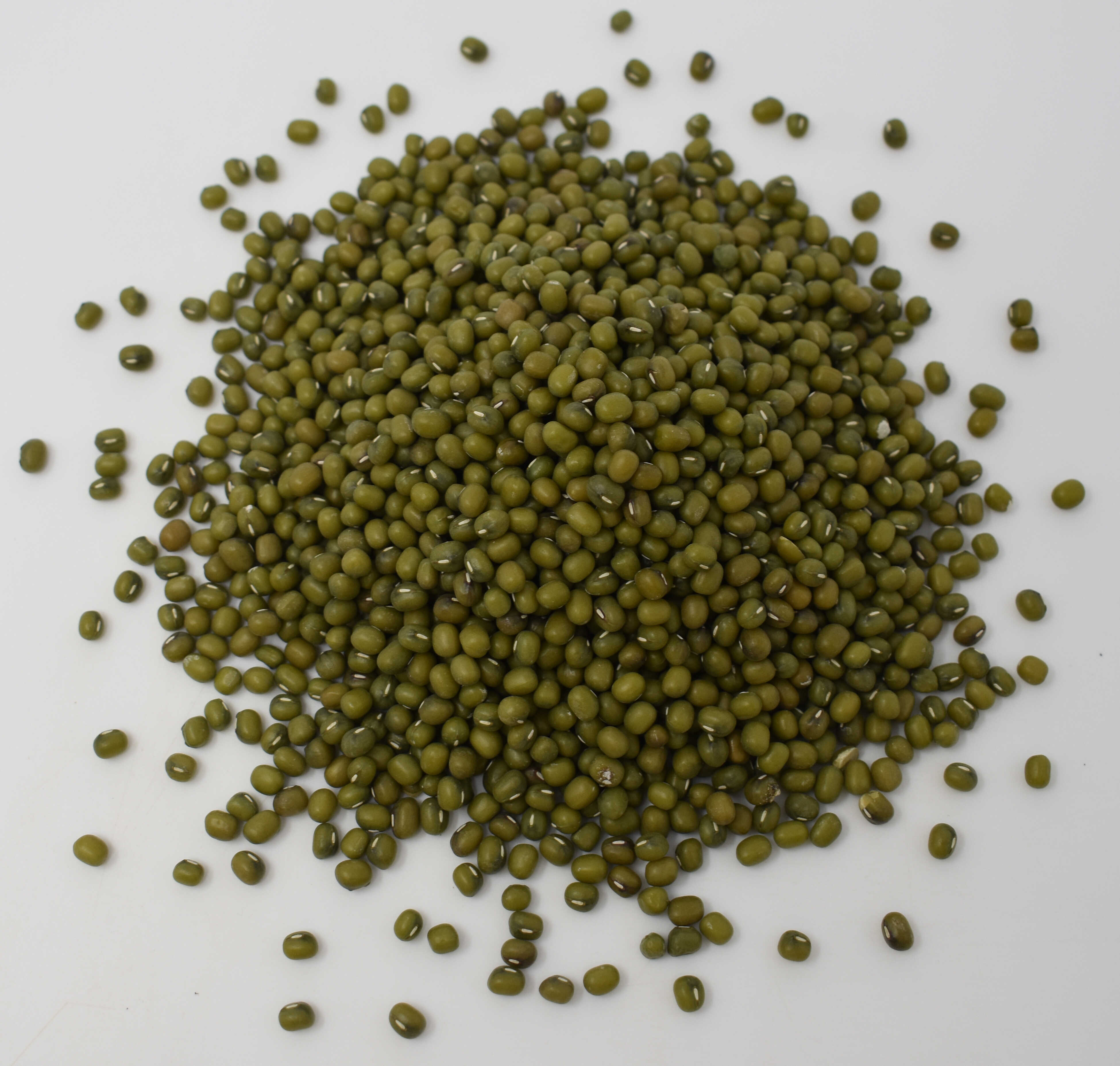 Mung Beans - Top Photo