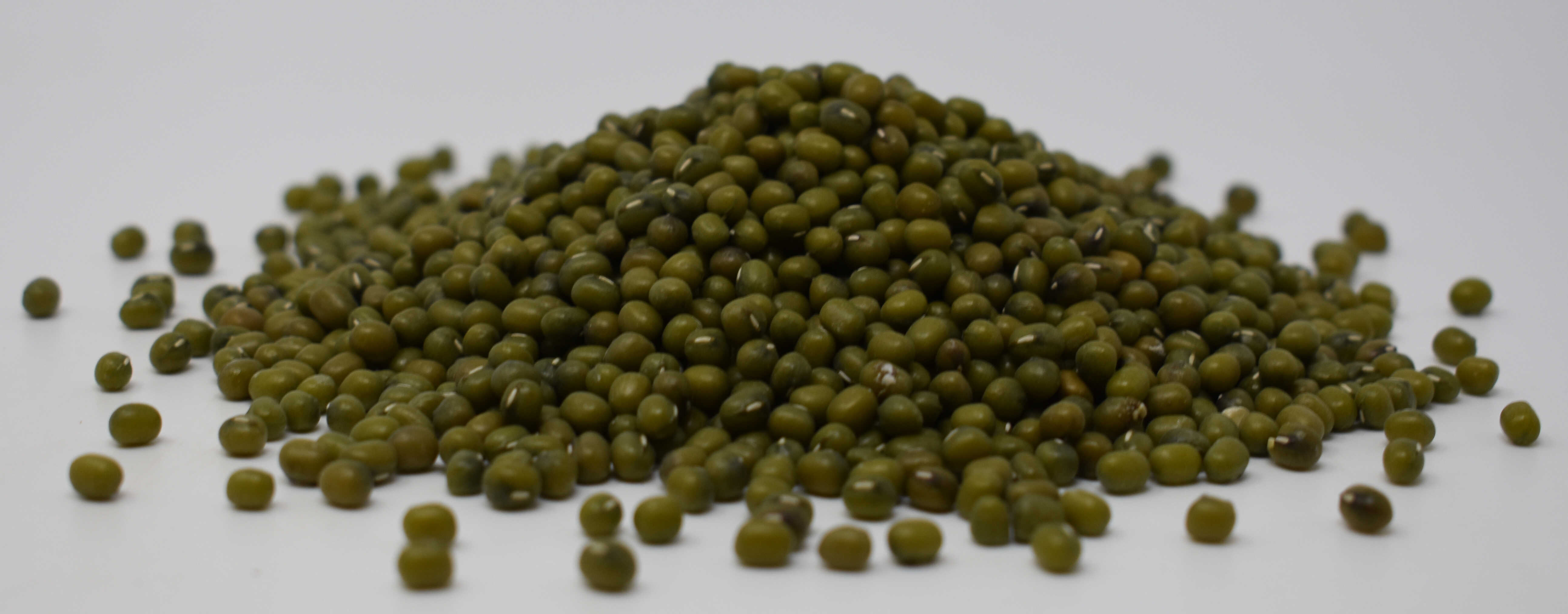 Mung Beans - Side Photo