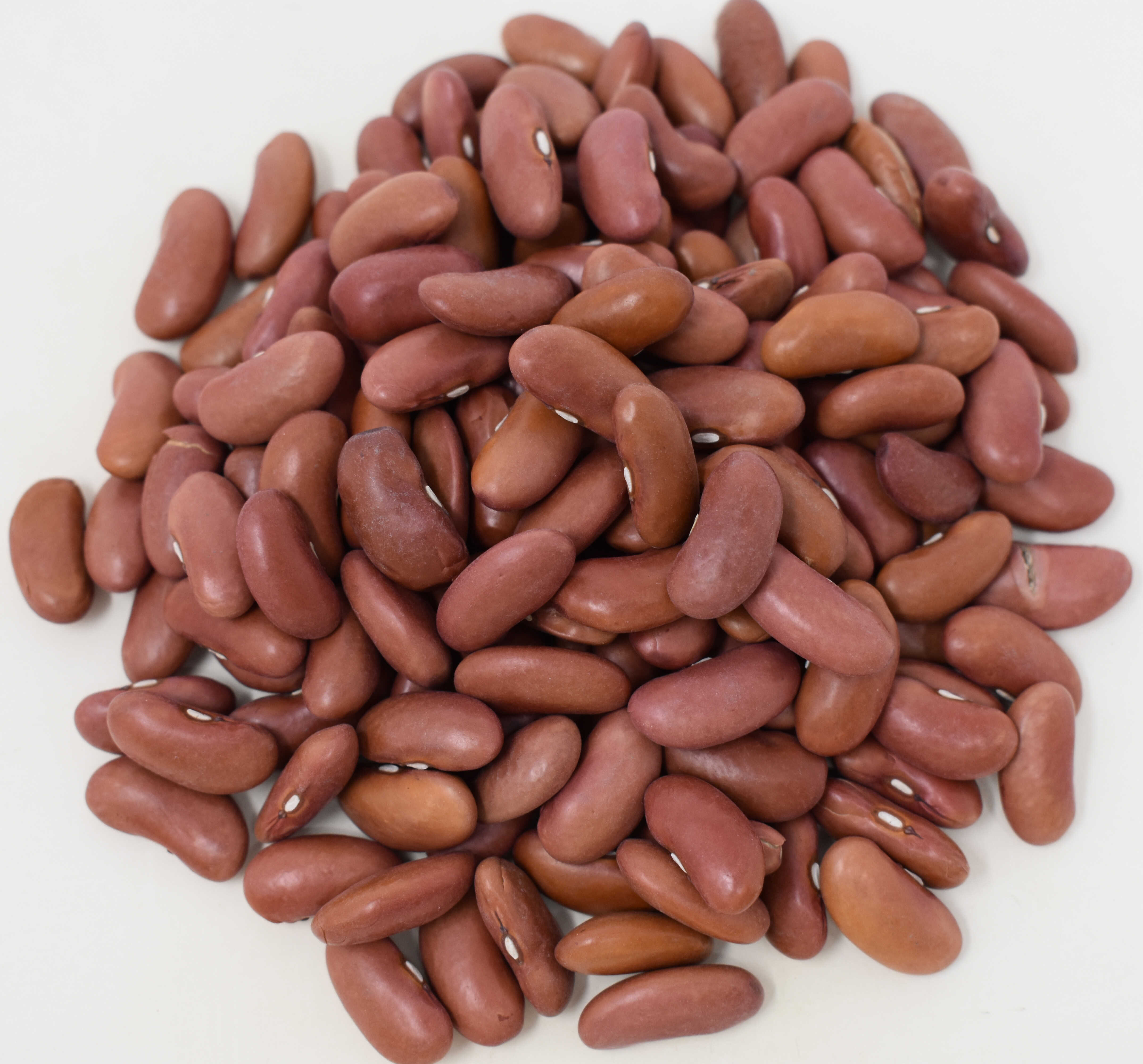 Red Kidney Beans - Top Photo