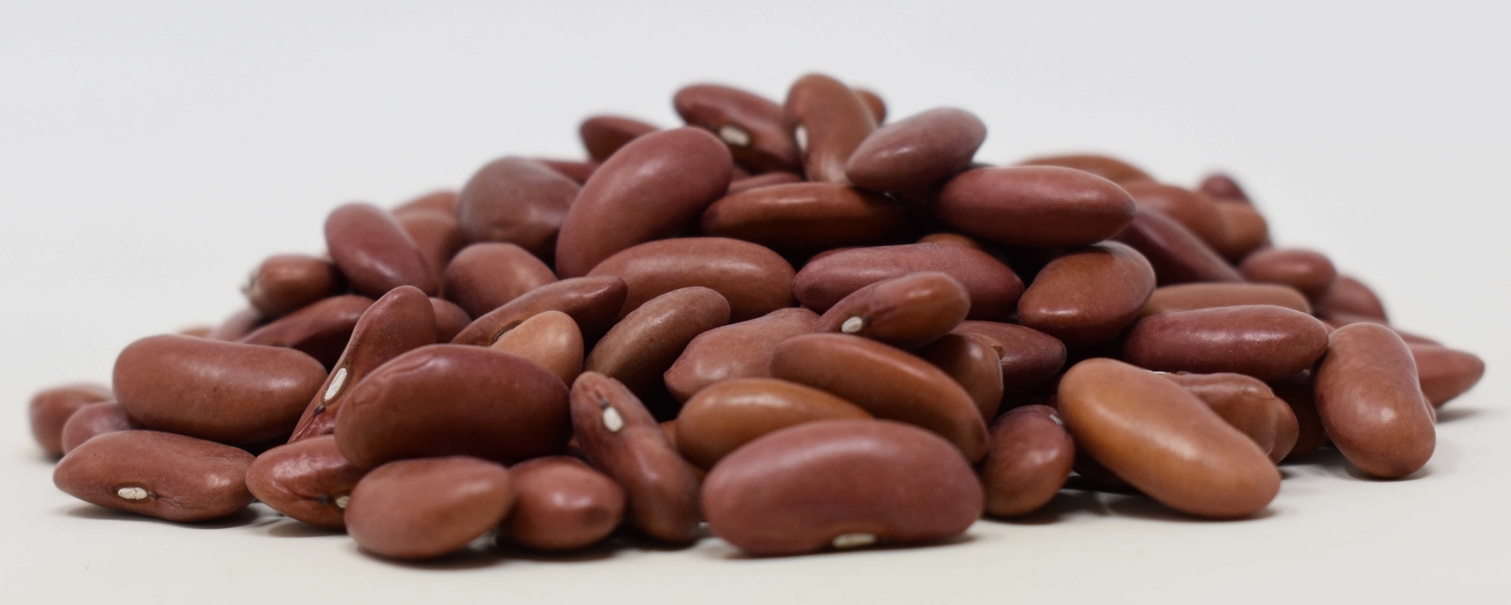Red Kidney Beans - Side Photo