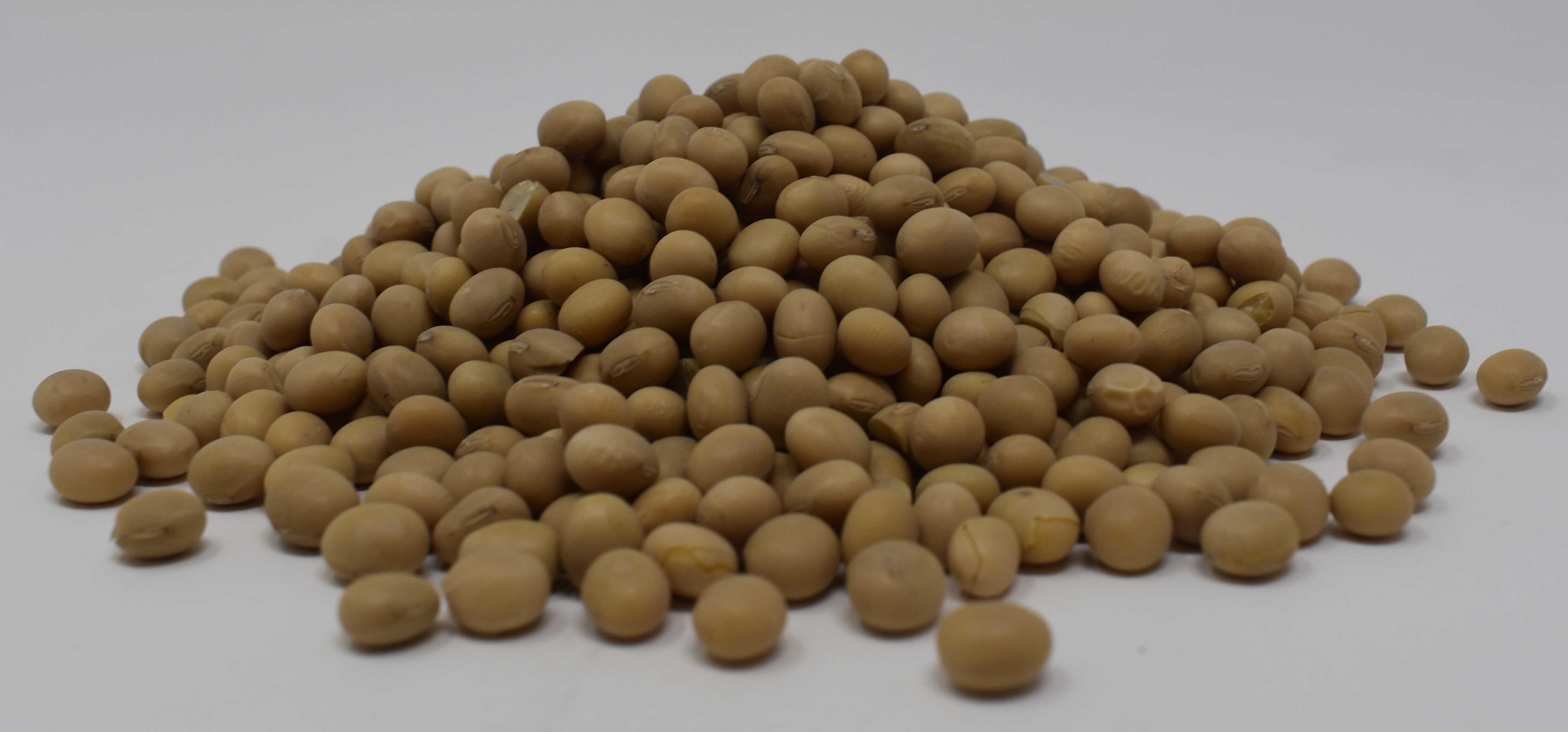 Soybeans <BR>(Yellow, Organic) - Side Photo