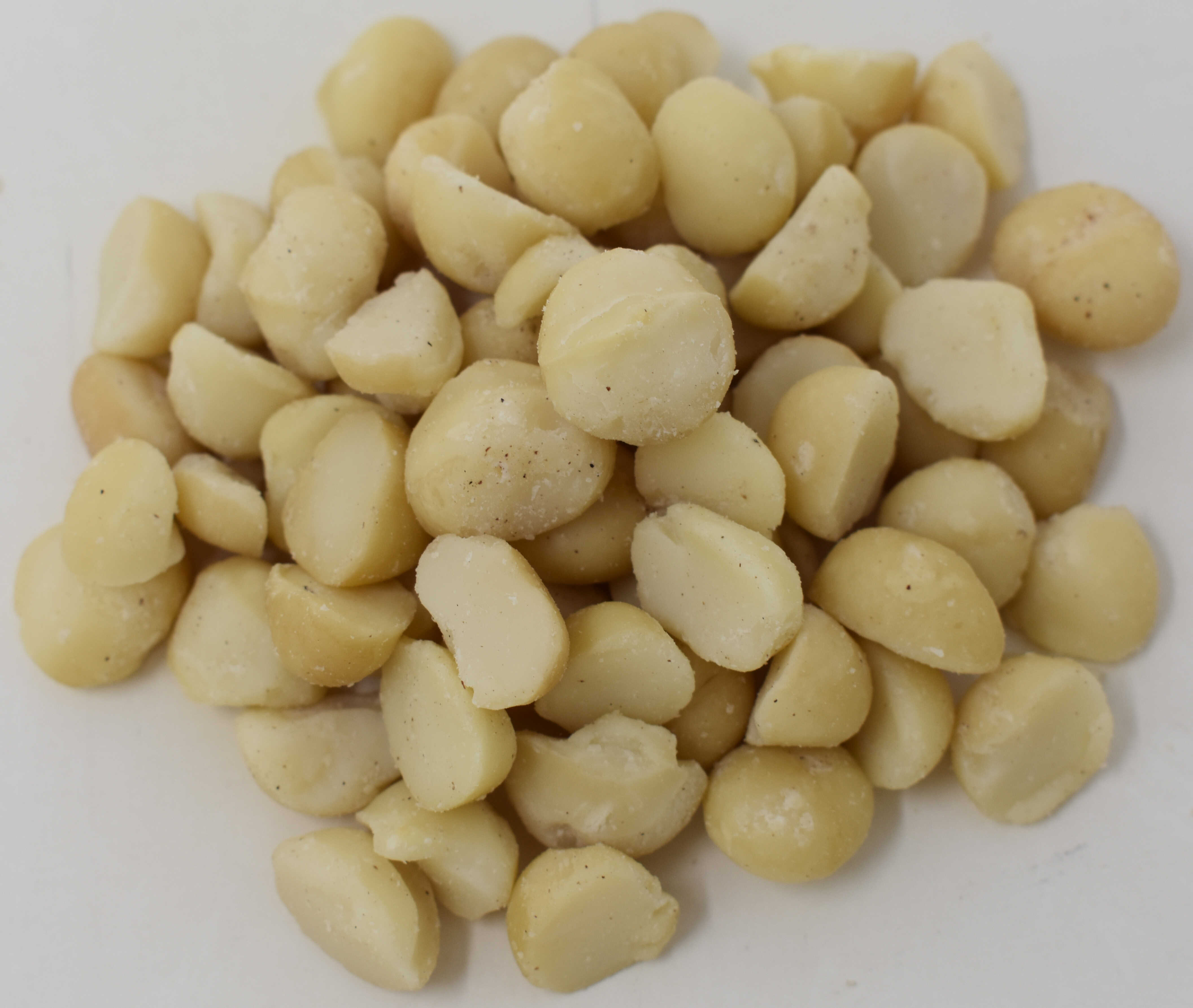 Macadamia Nuts <BR>(Natural and Raw) - Top Photo