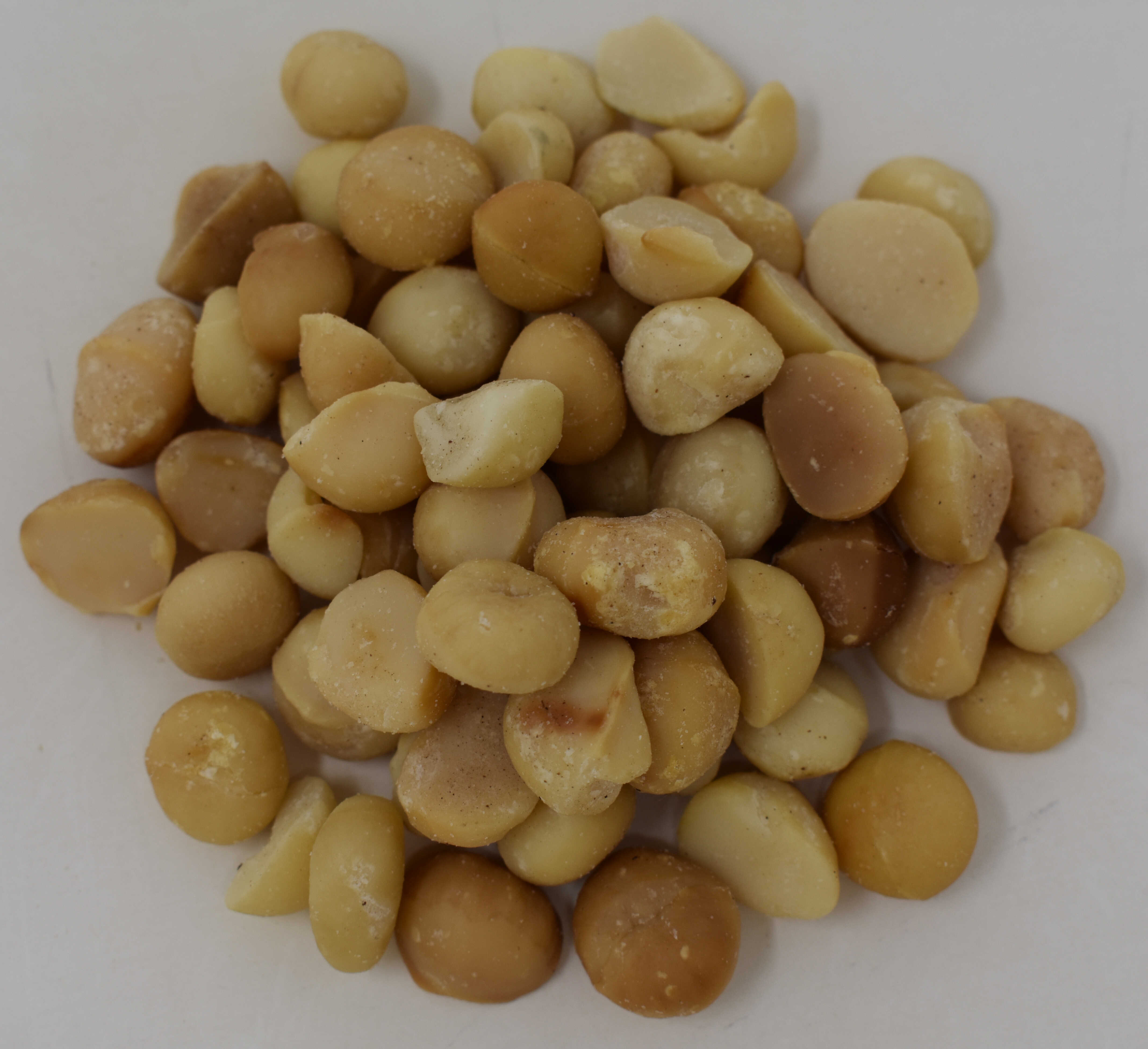 Macadamia Nuts <BR>(Roasted and Salted) - Top Photo