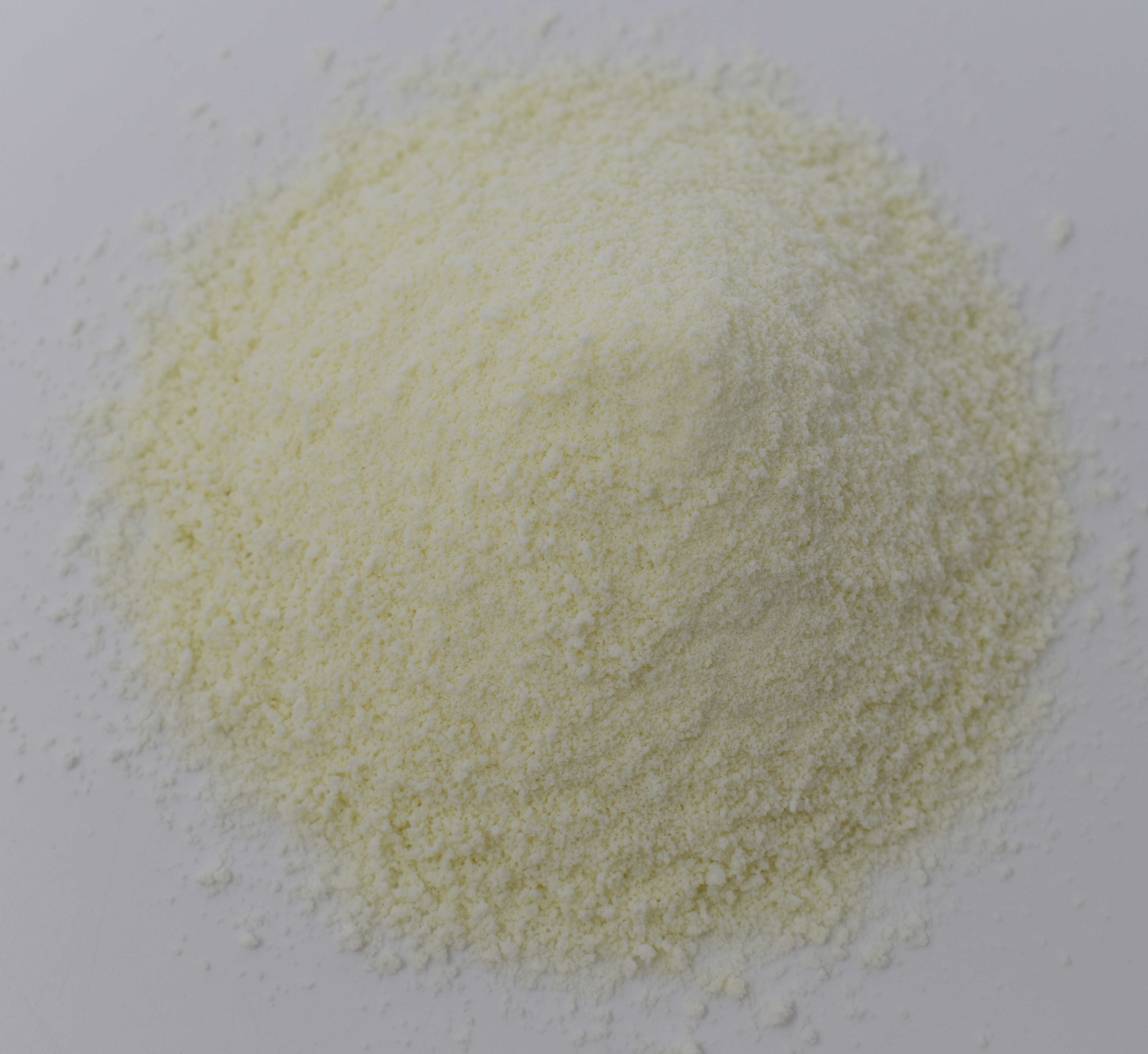 Milk Powder <BR>(Instant, Nonfat) - Top Photo