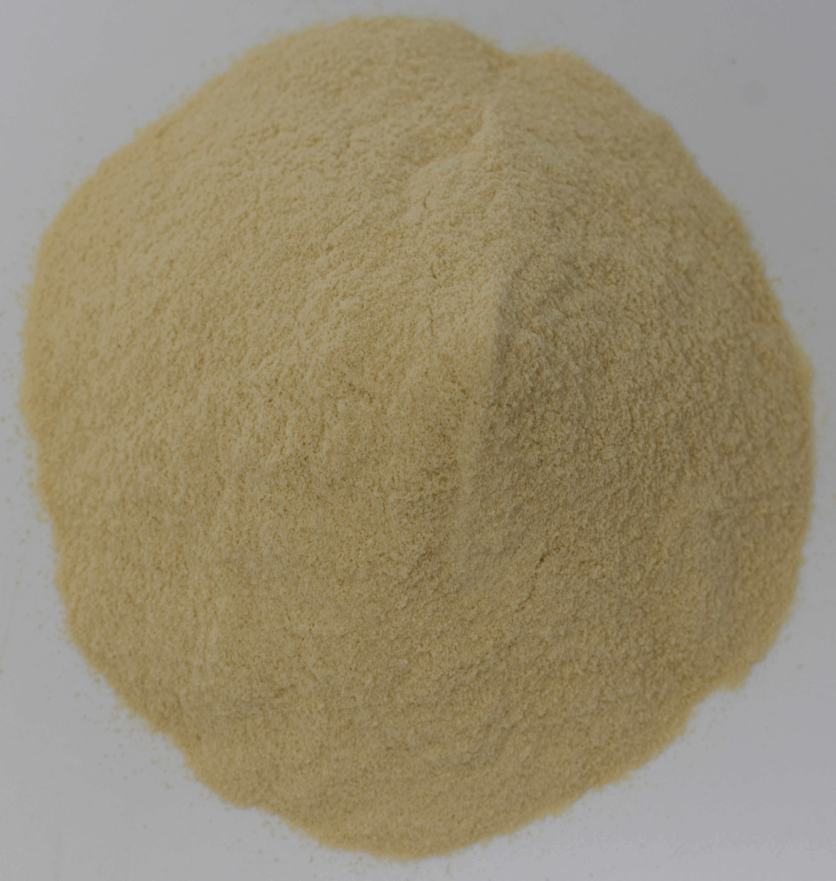 Malted Milk Powder - Top Photo