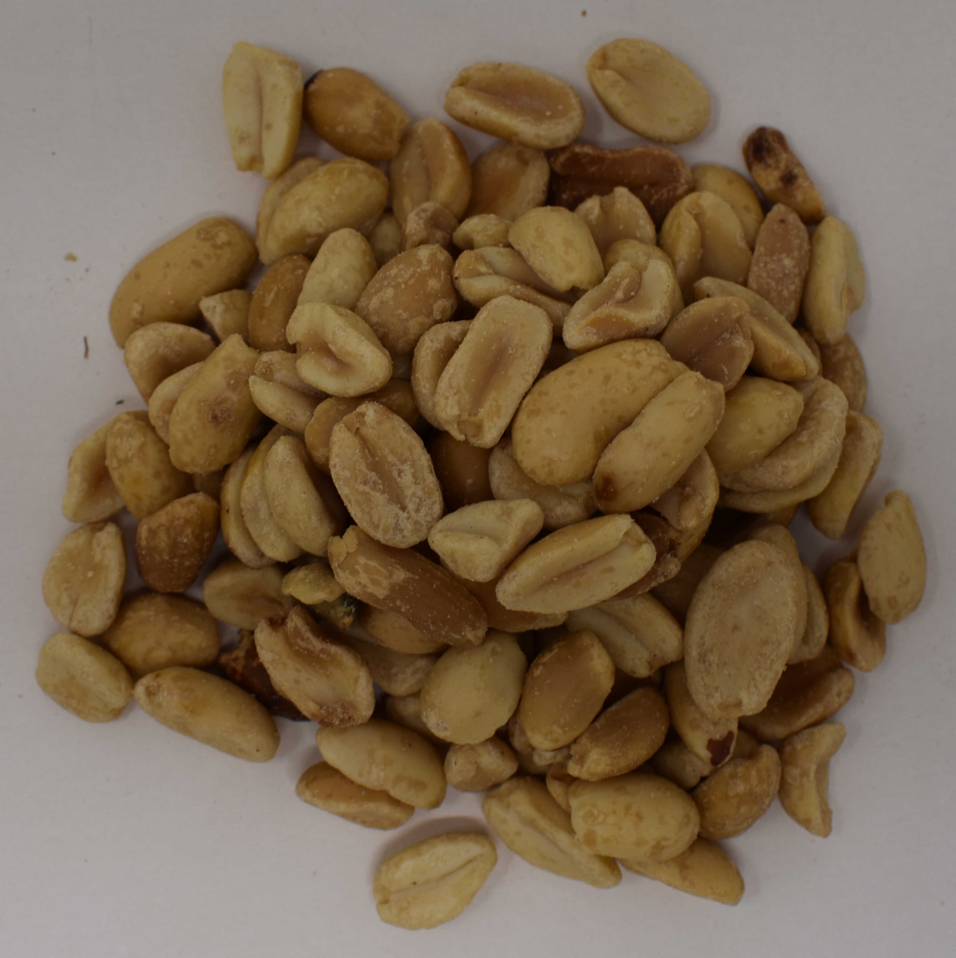 Peanuts <BR>(Raw, Blanched, Unsalted) - Top Photo