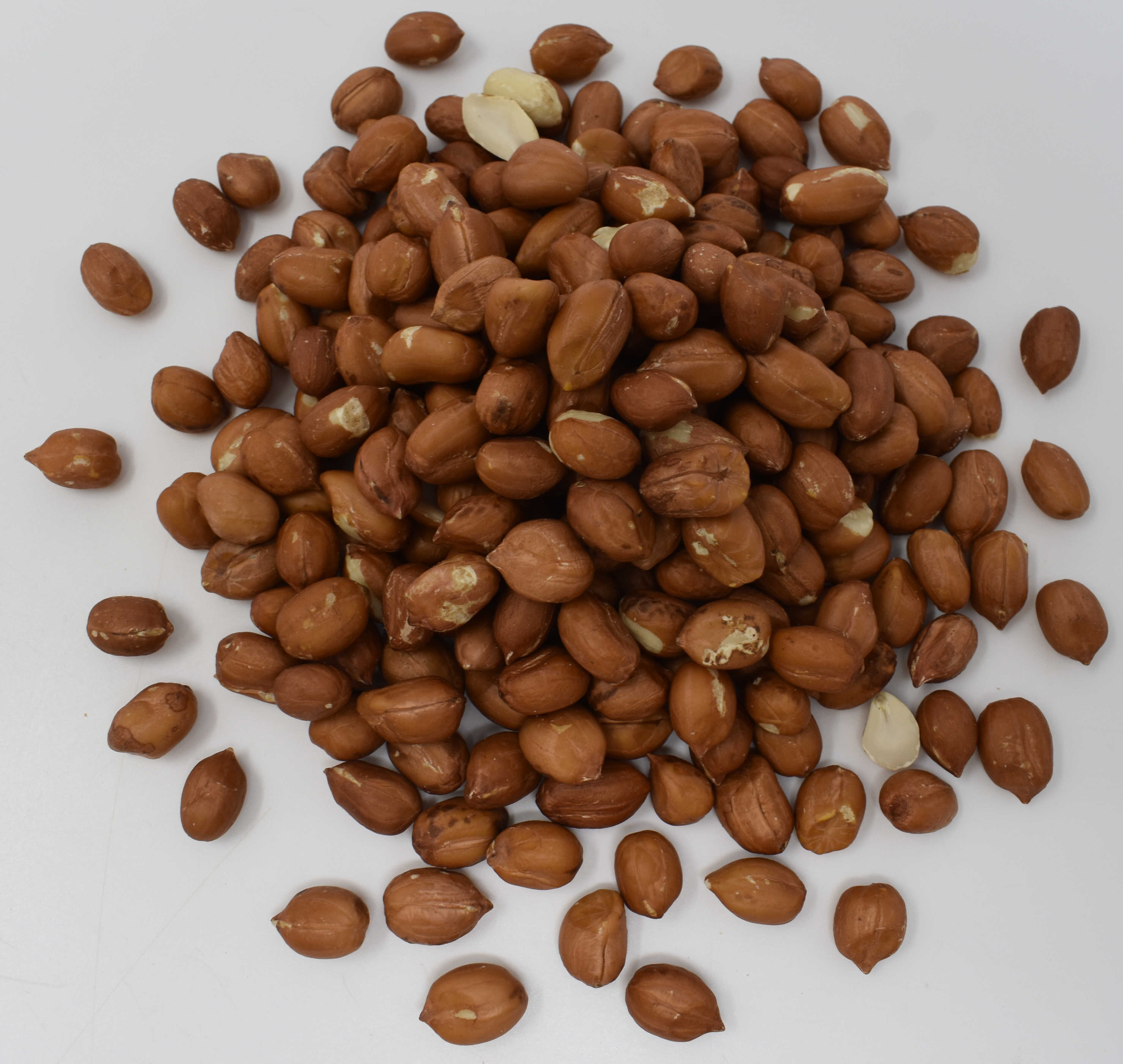 Peanuts <BR>(Raw, Redskin, Unsalted) - Top Photo