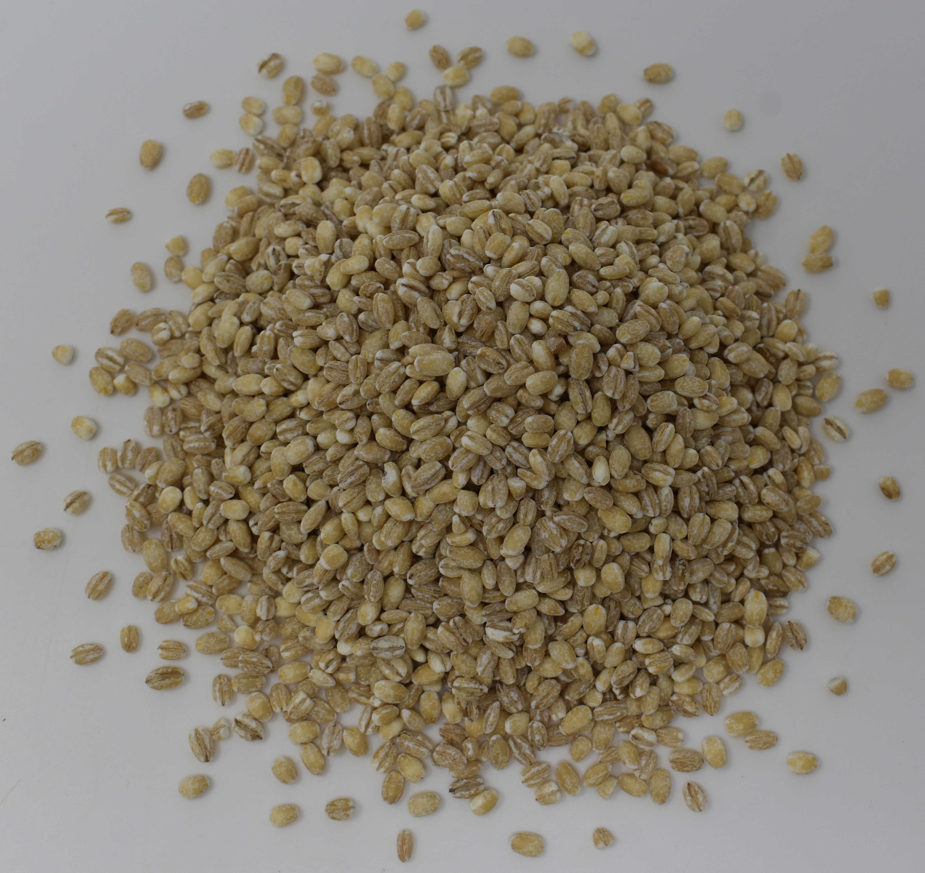 Pearl Barley - Top Photo