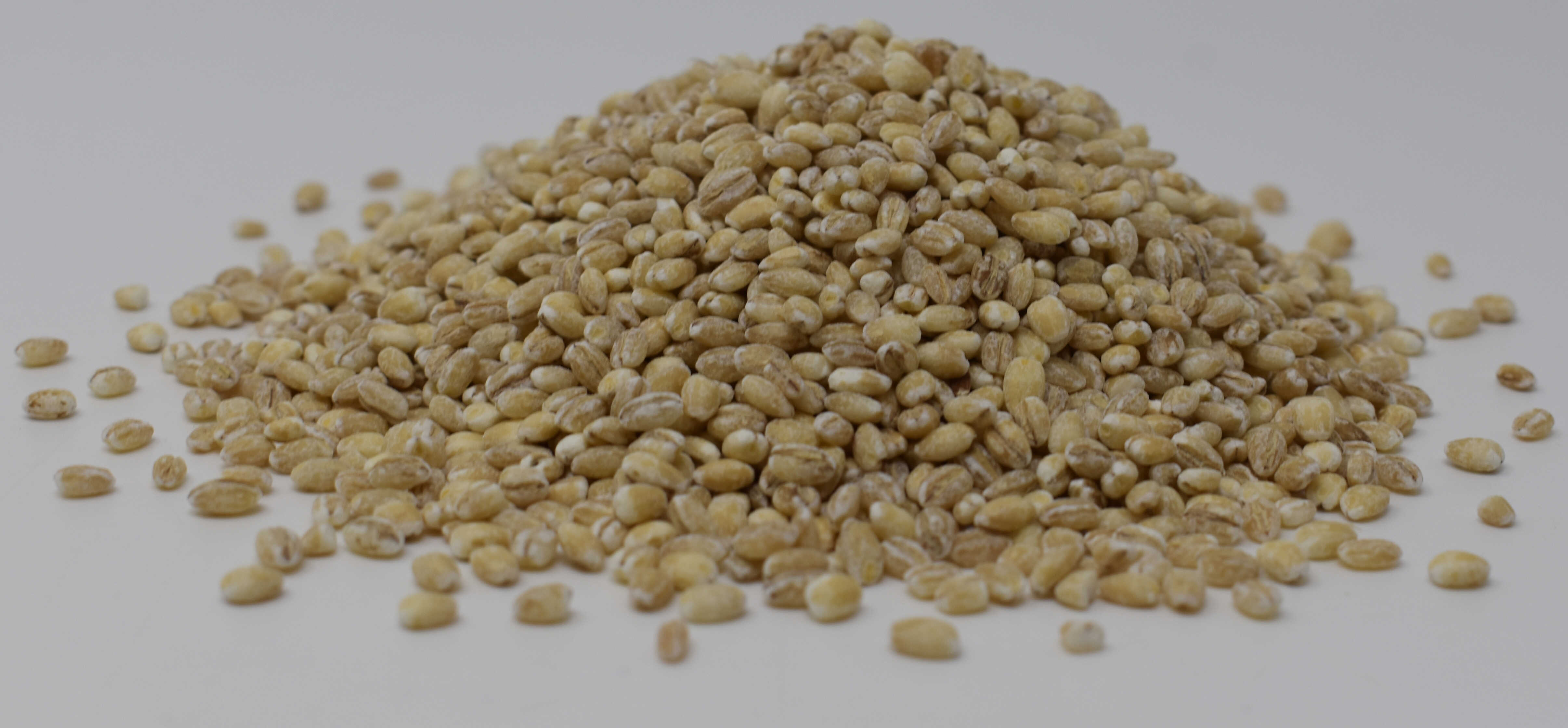 Pearl Barley - Side Photo