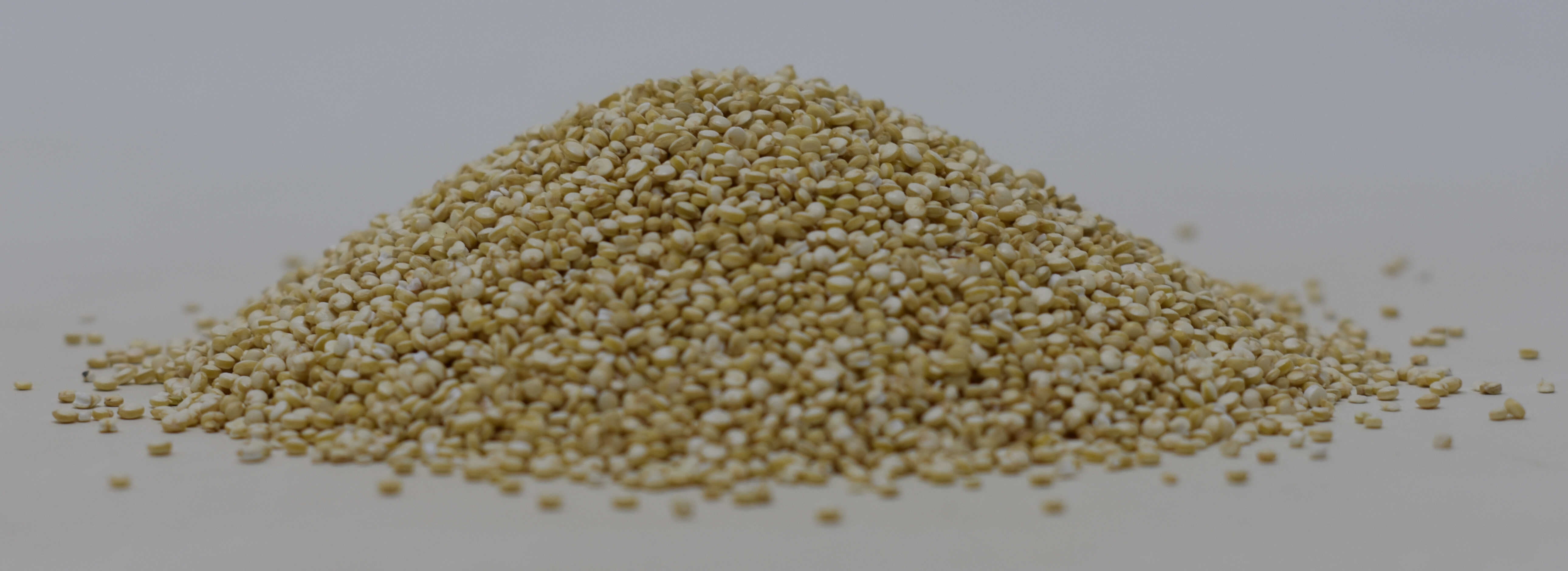 Quinoa Grain <BR>(White, Organic) - Side Photo