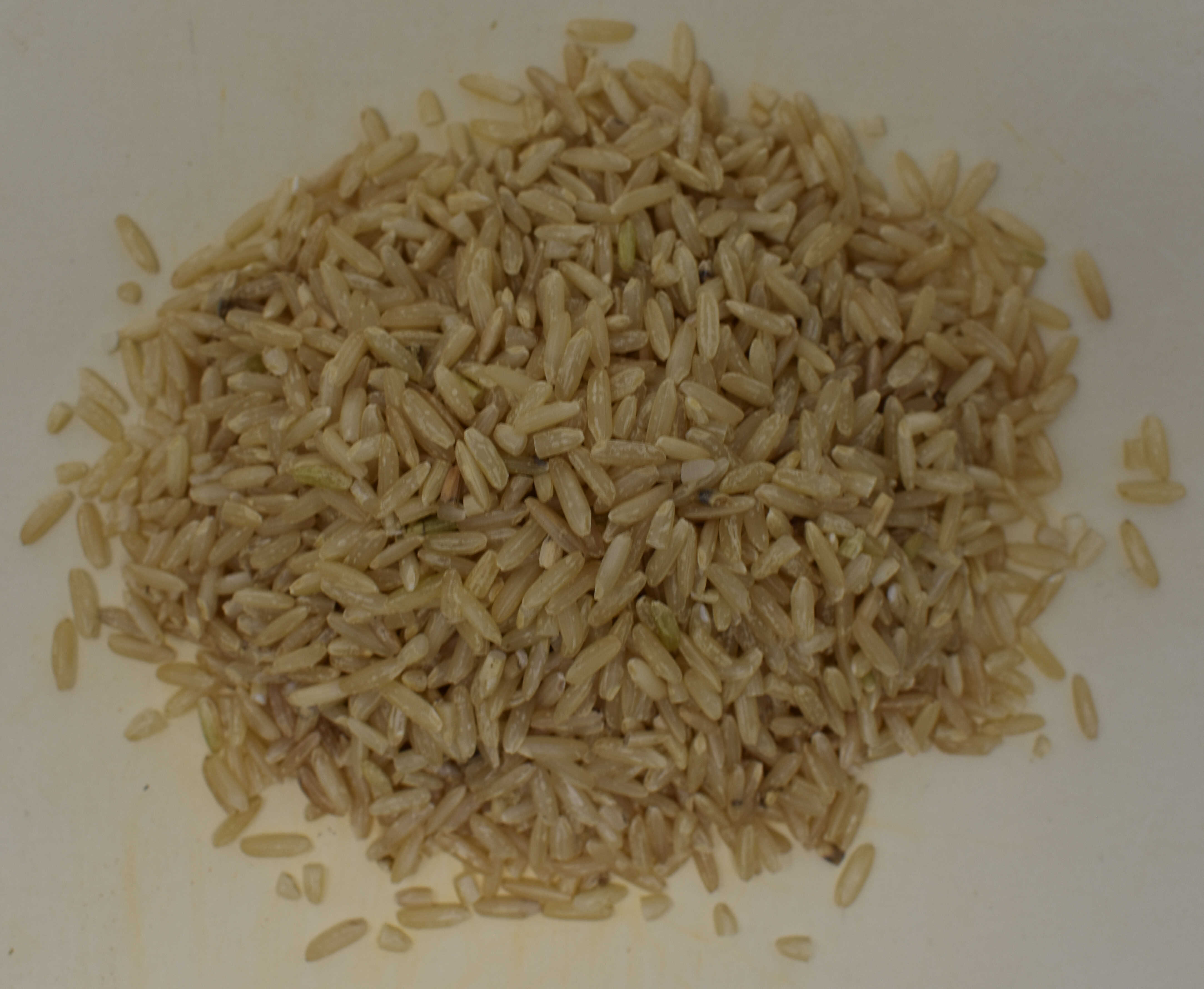 Basmati Brown Rice <BR>(Organic) - Top Photo