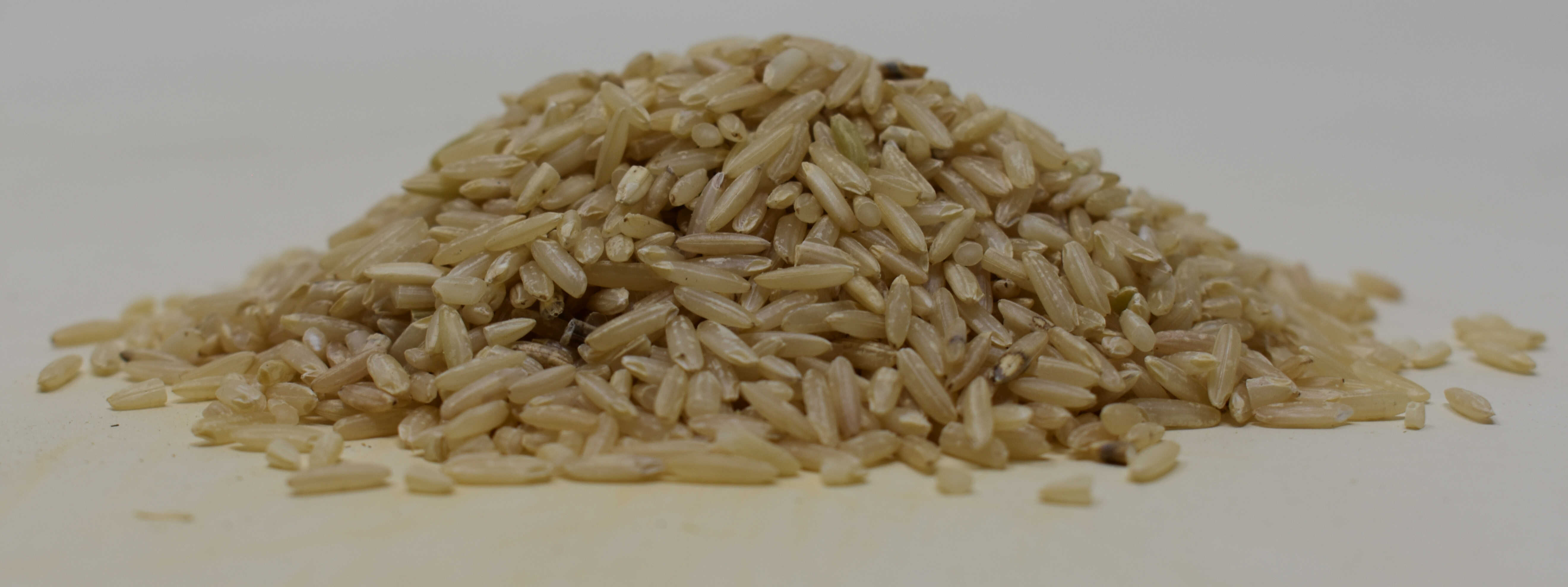 Basmati Brown Rice <BR>(Organic) - Side Photo