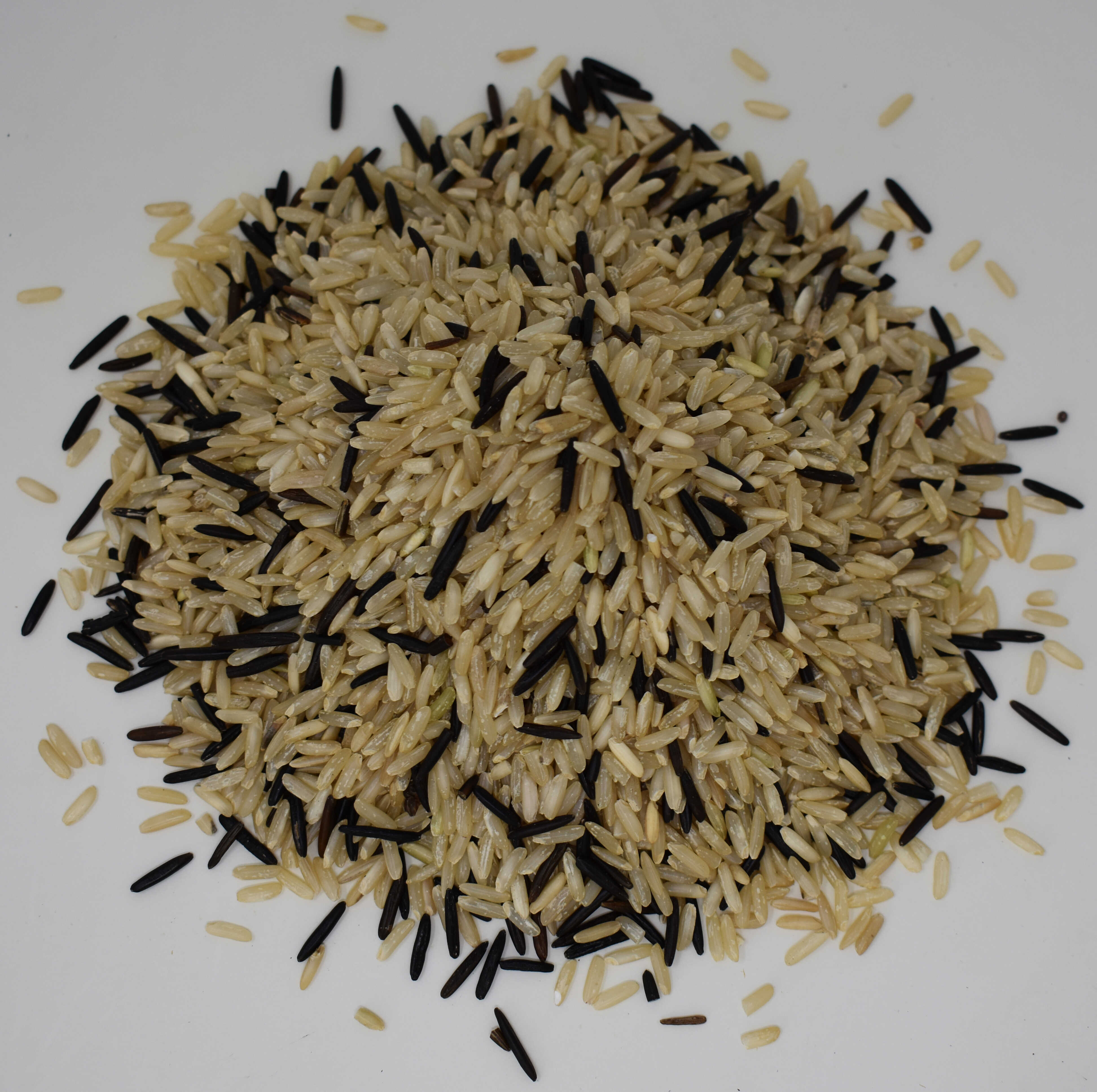 Wild Rice Blend - Top Photo