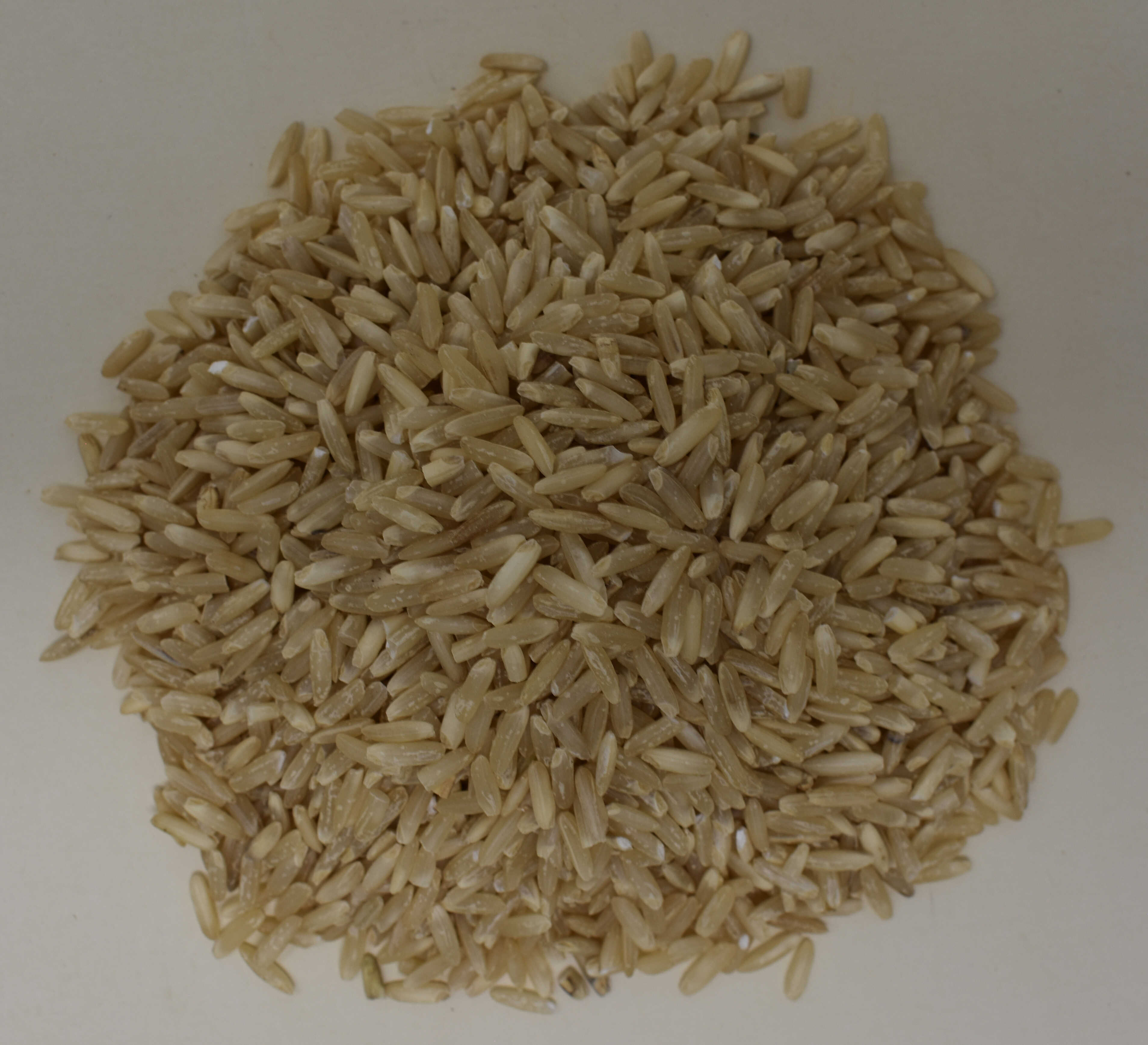 Brown Rice <BR>(Organic) - Top Photo