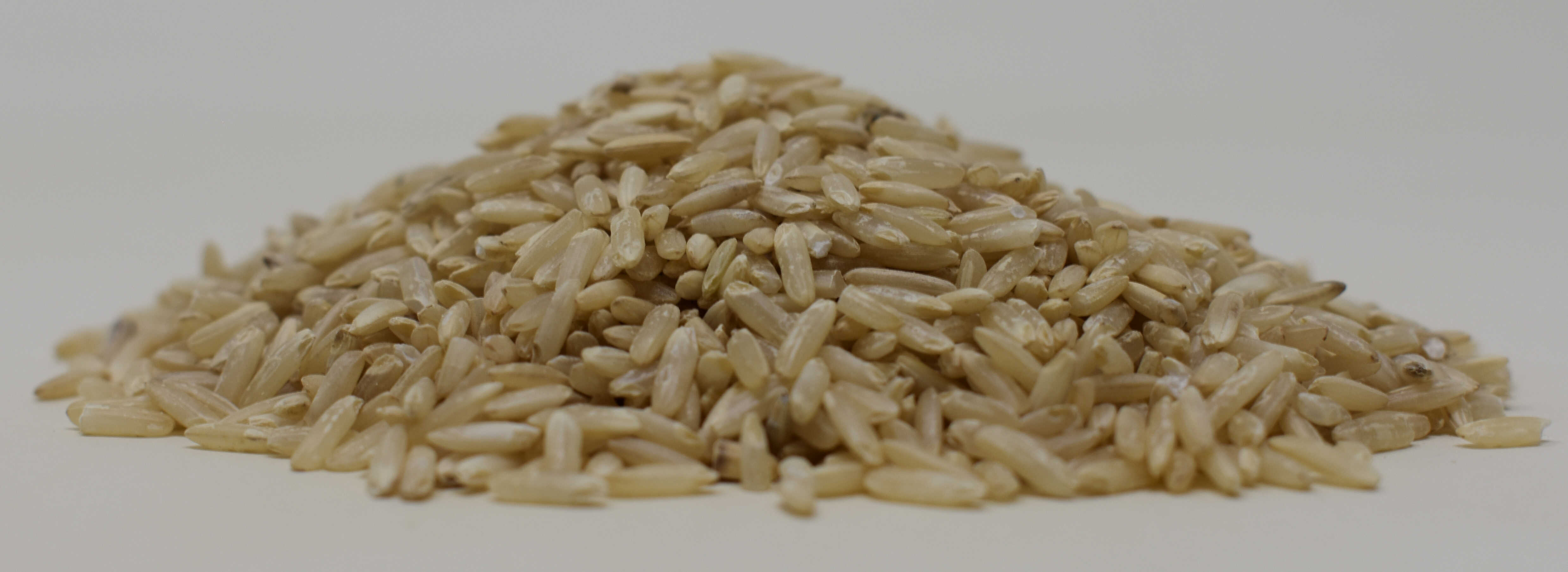 Brown Rice <BR>(Organic) - Side Photo