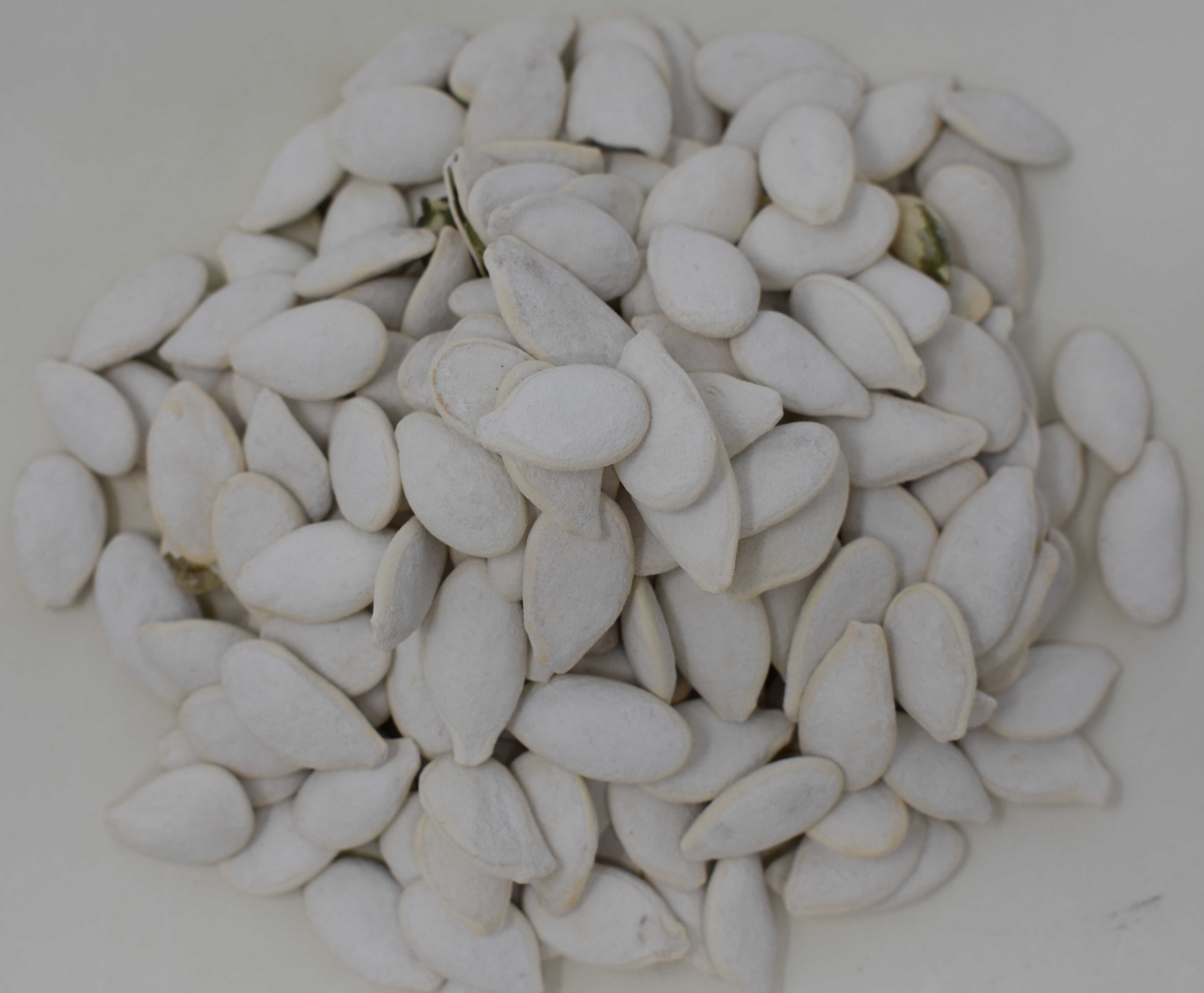 Pumpkin Seeds <BR>(In Shell, Roasted and Salted) - Top Photo