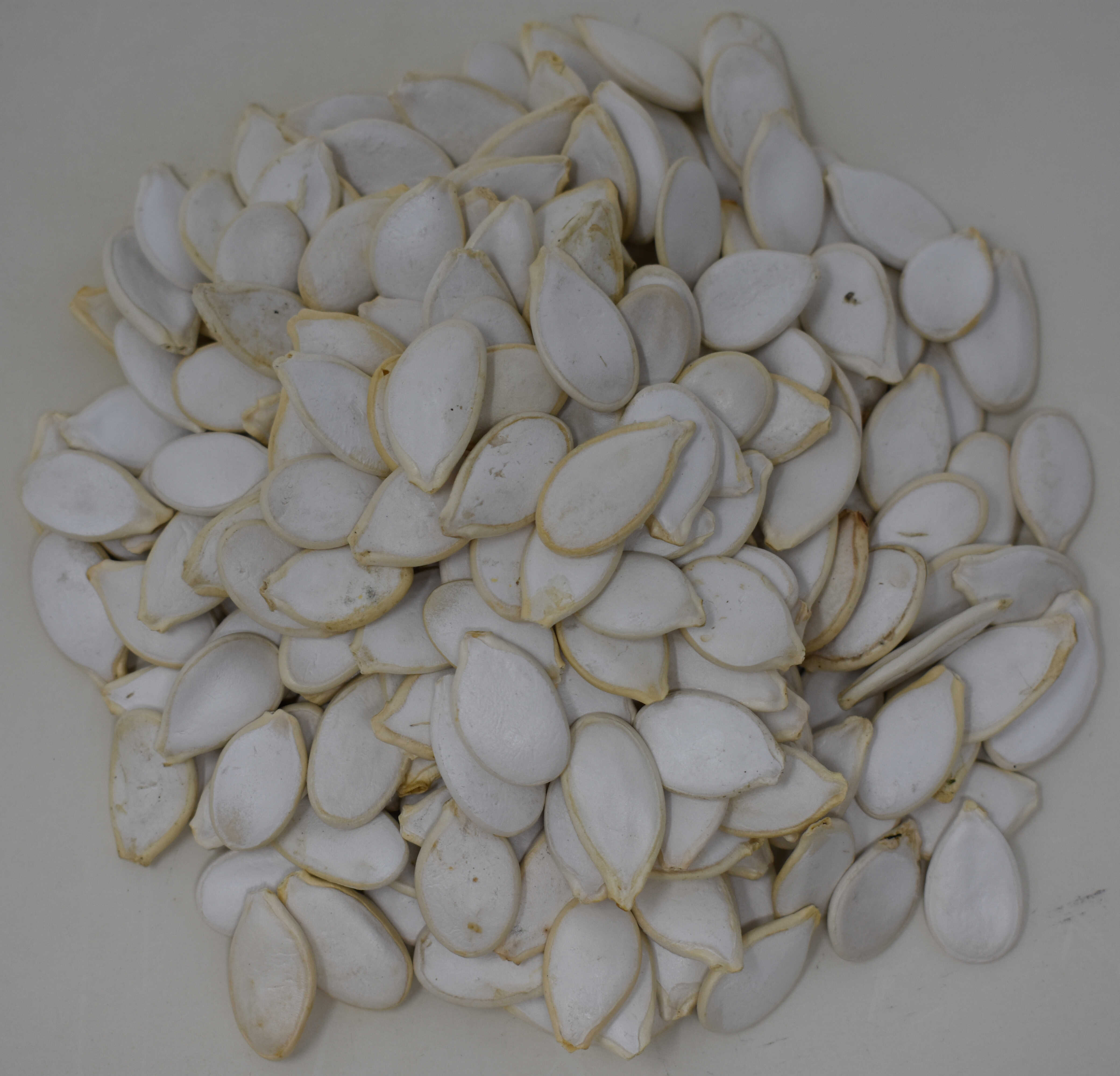 Pumpkin Seeds <BR>(In Shell, Raw) - Top Photo