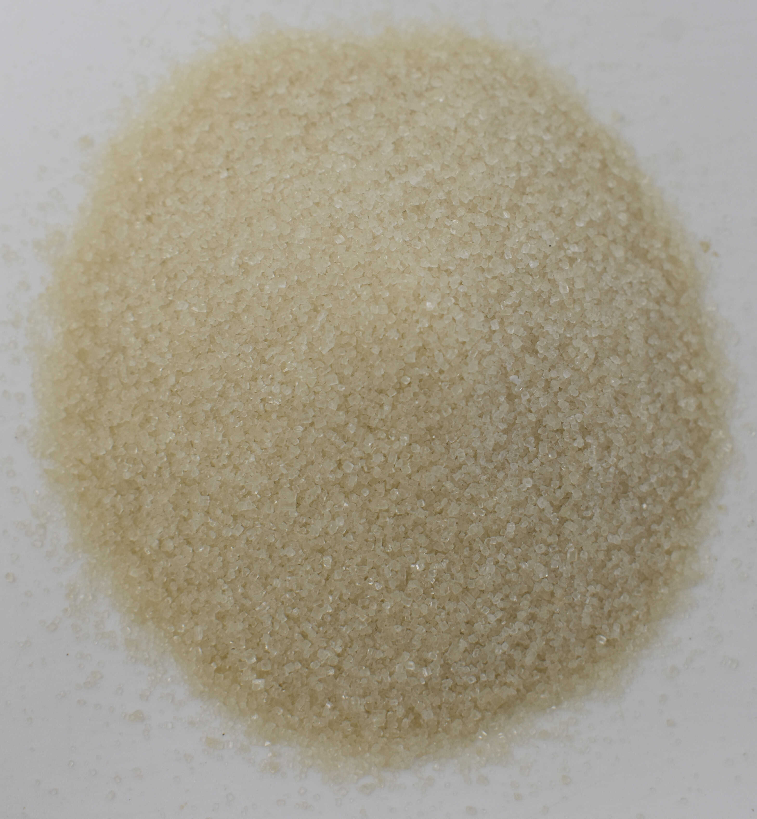 Cane Juice Sugar (Organic) - Top Photo