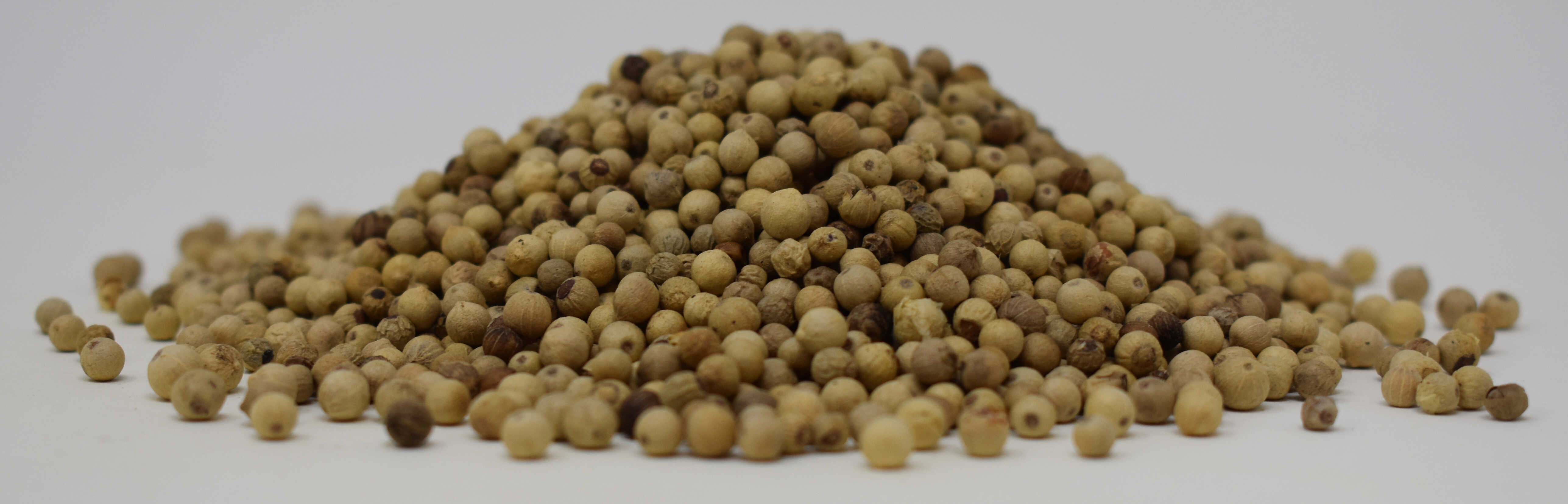 White Peppercorns - Side Photo