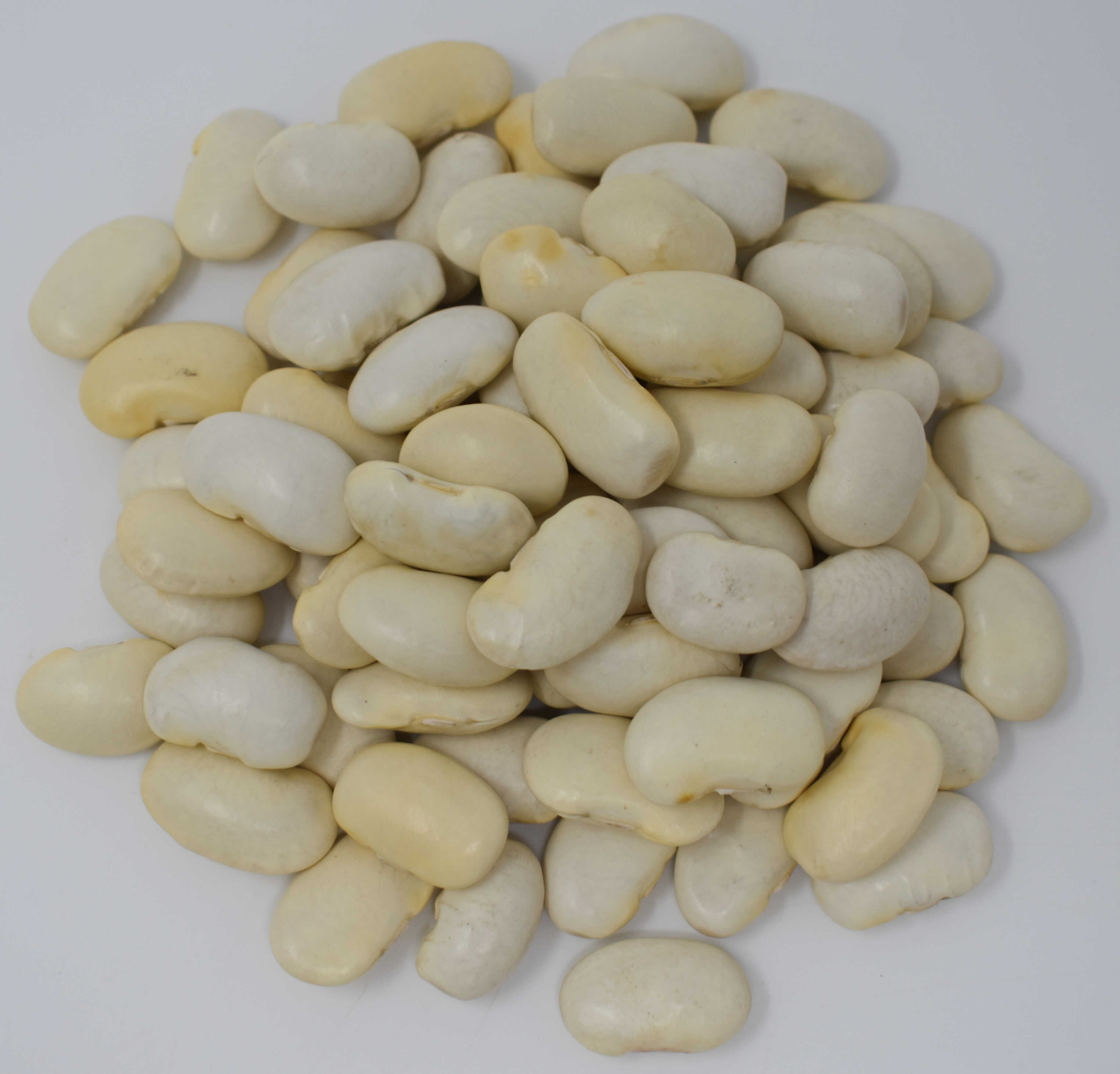 Gigante Beans - Top Photo