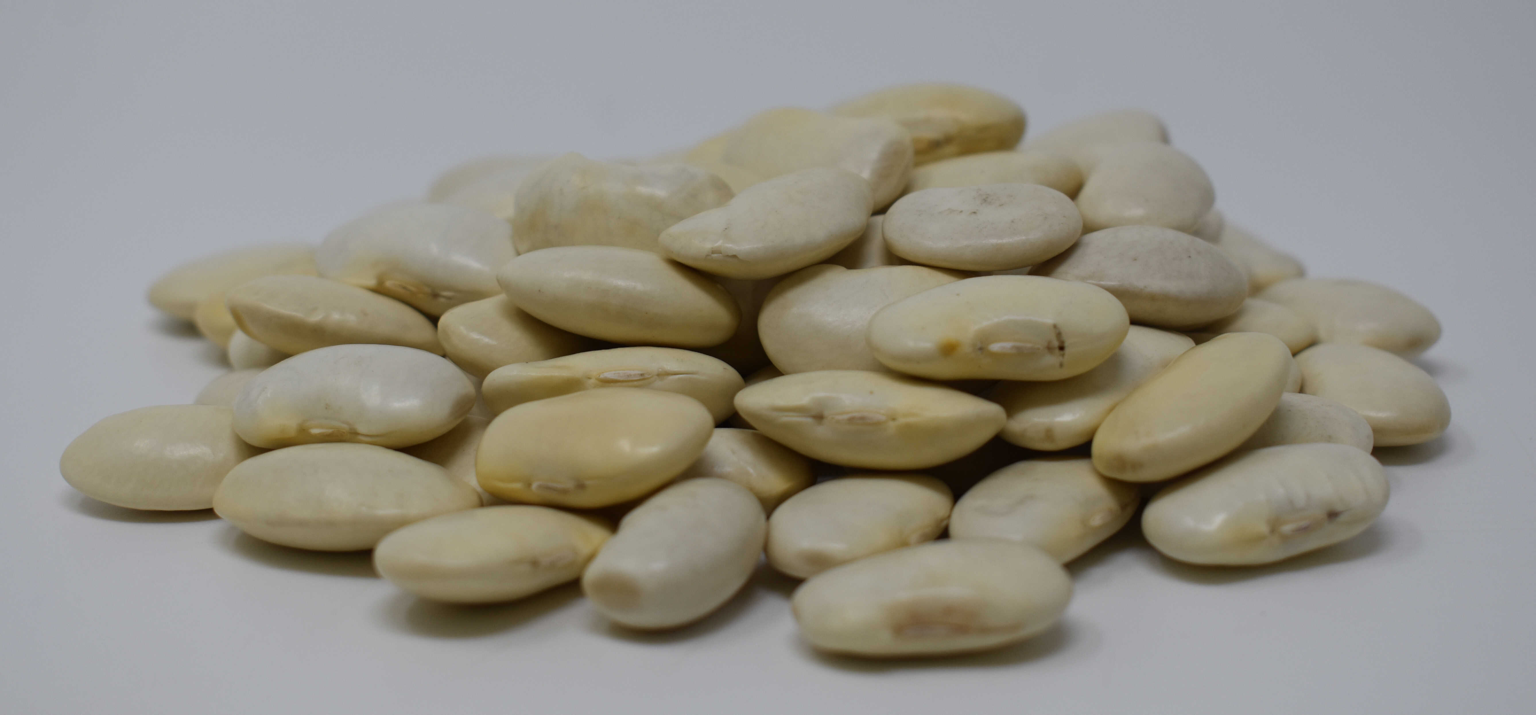 Gigante Beans - Side Photo