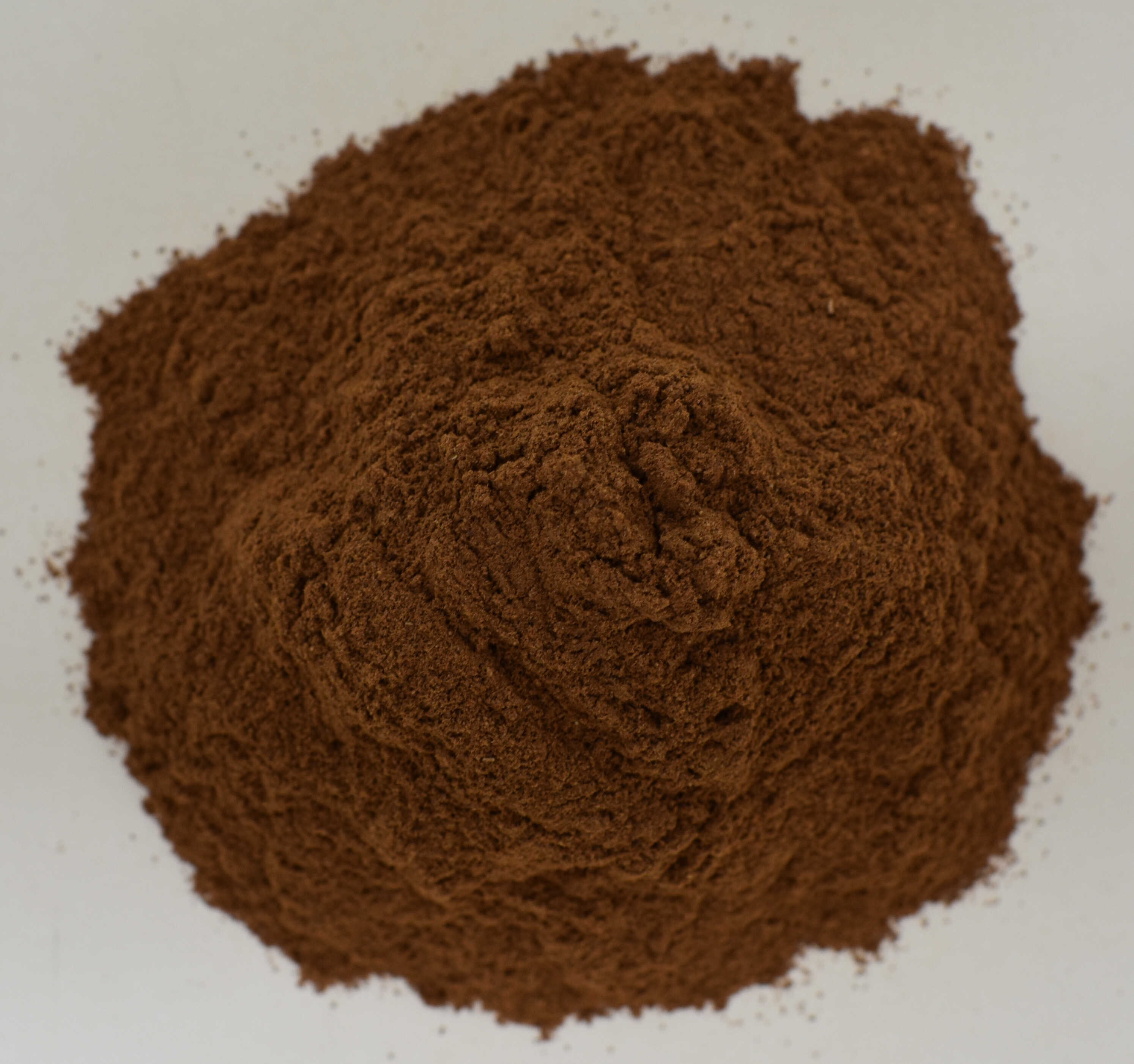 Cinnamon Powder <BR>(Korintje) - Top Photo