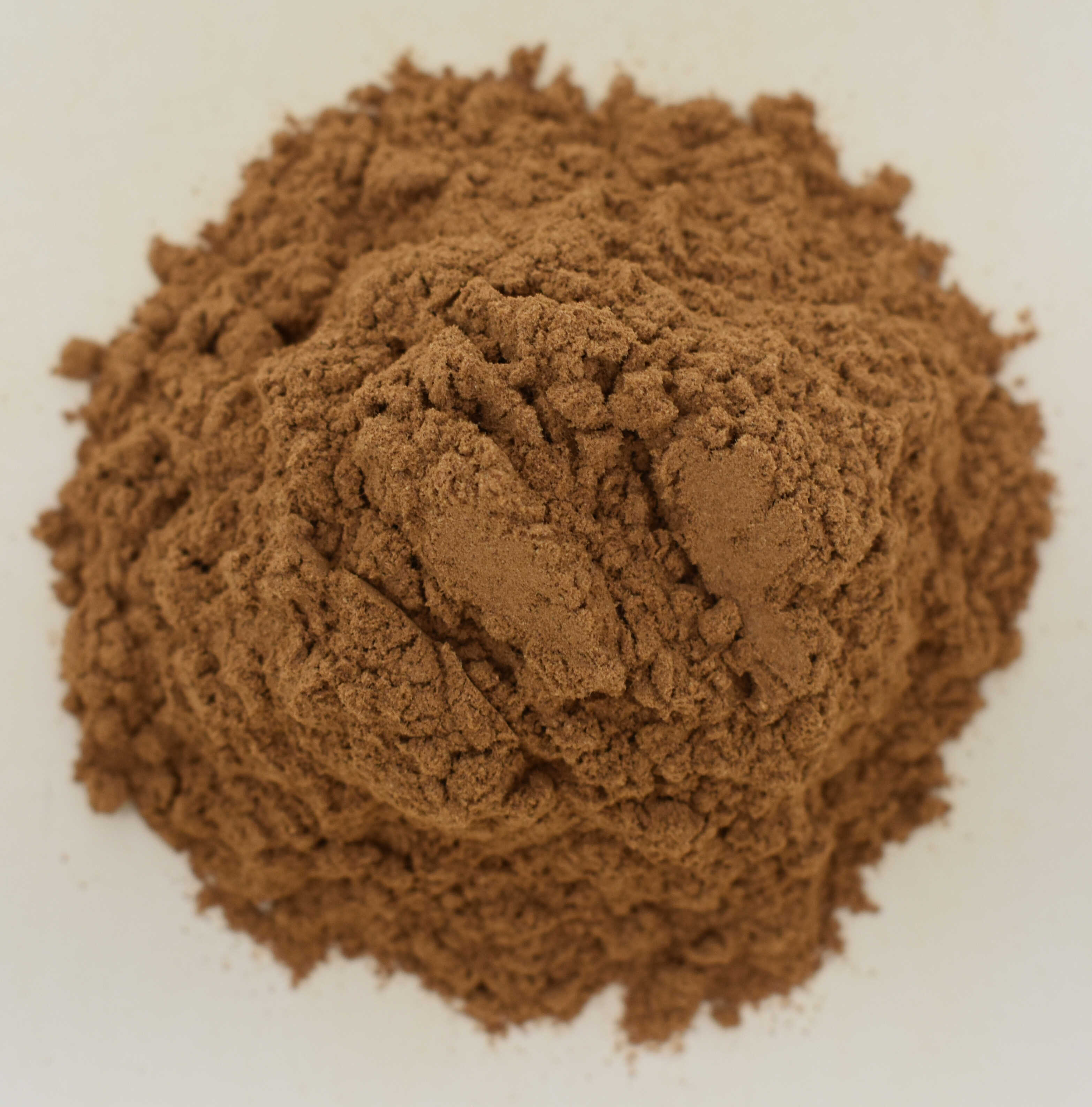 Cinnamon Powder <BR>(Ceylon, Canela, Sri Lanka) - Top Photo