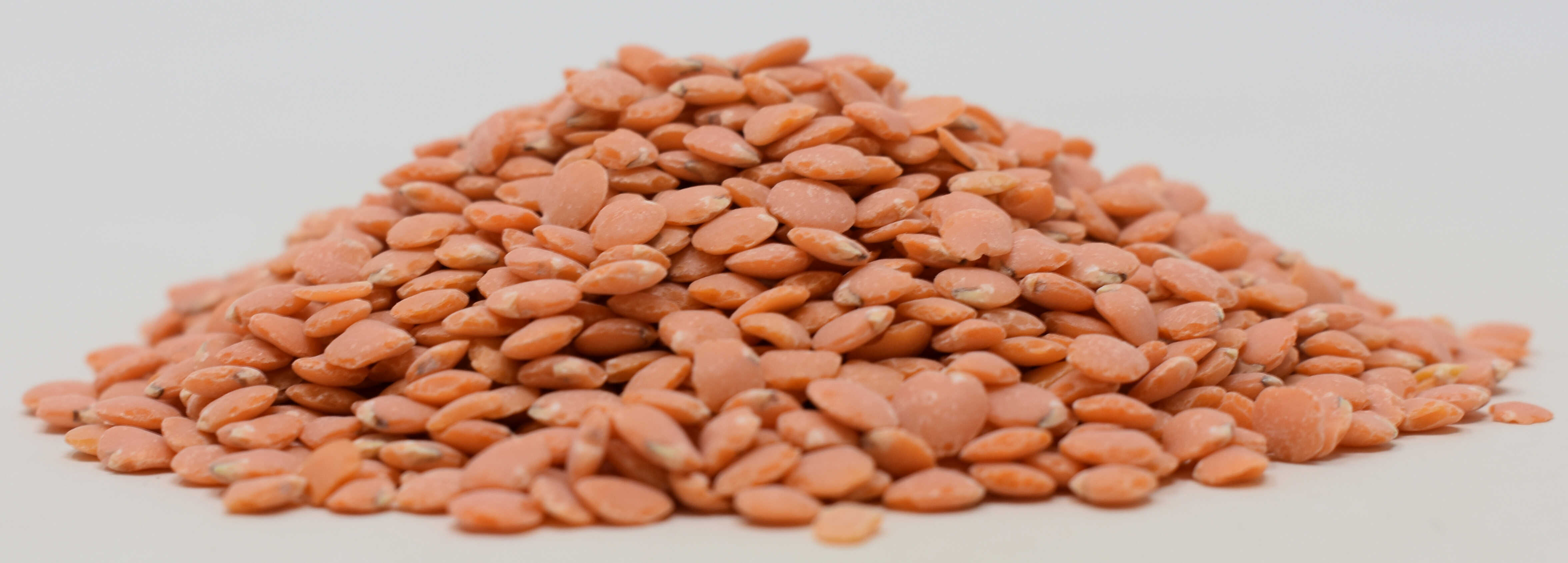 Lentils <BR>(Split, Petite, Red / Crimson) - Side Photo