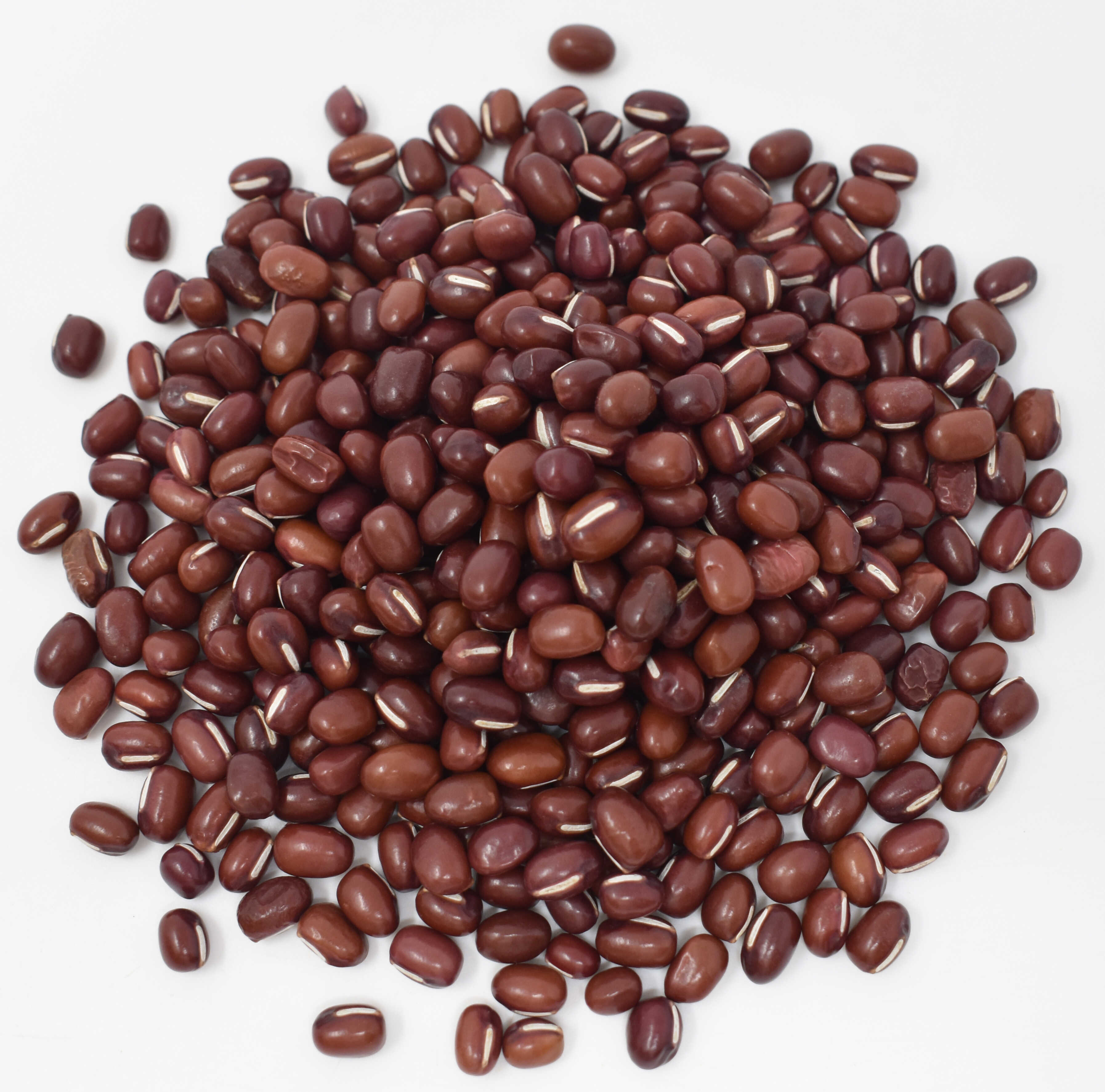 Azuki Beans <BR>(Adzuki) <BR>(Organic) - Top Photo