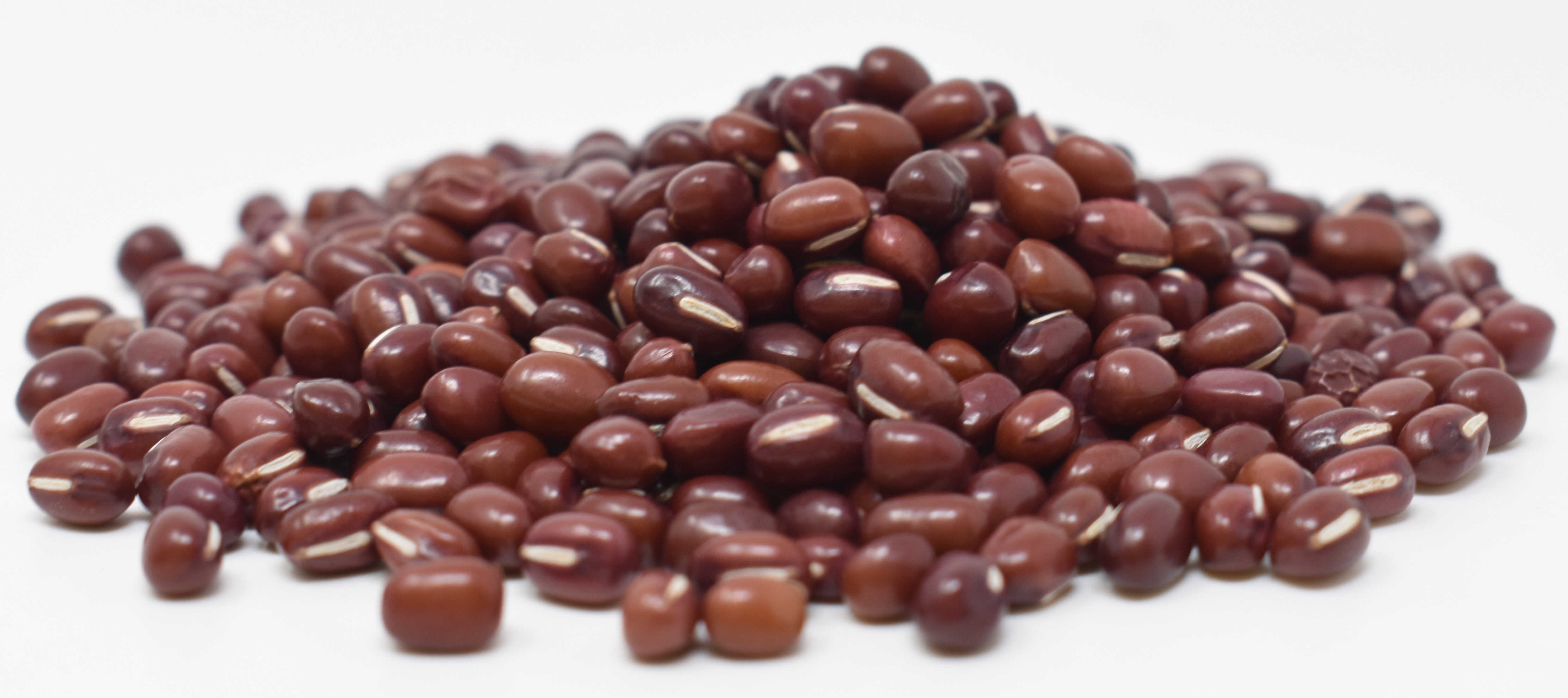 Azuki Beans <BR>(Adzuki) <BR>(Organic) - Side Photo