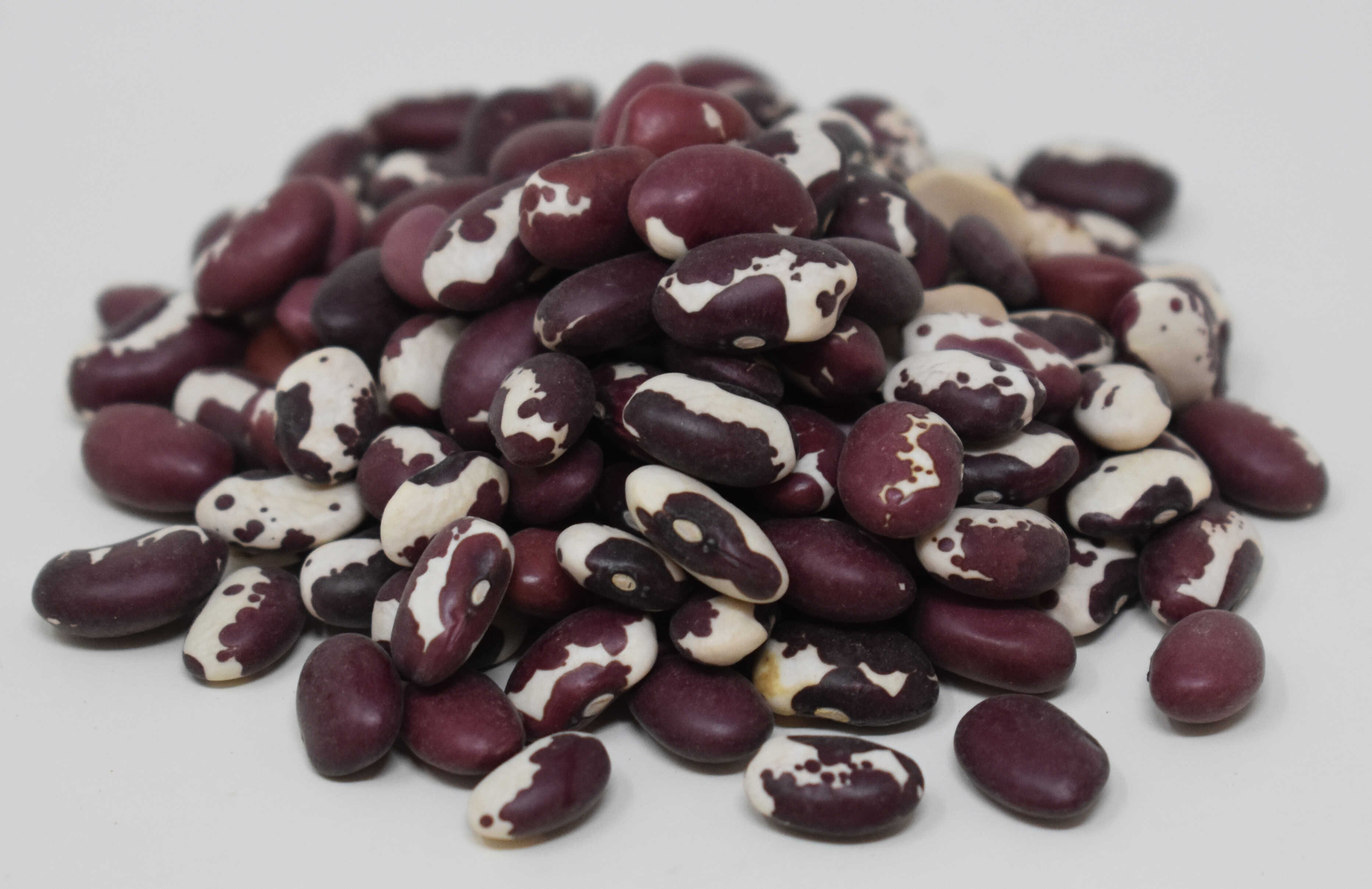 Anasazi Beans <BR>(Organic) - Side Photo